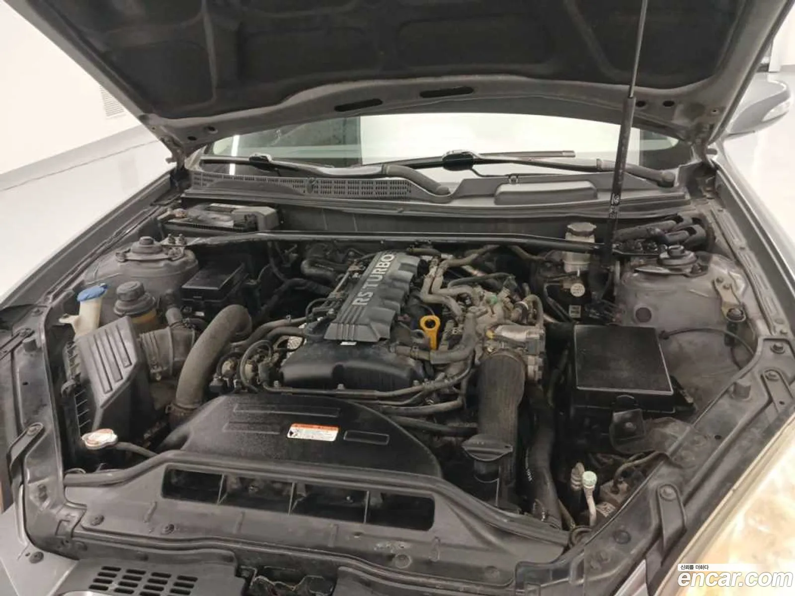 Hyundai Genesis I 200 Turbo P 2010 - фотография 19130662