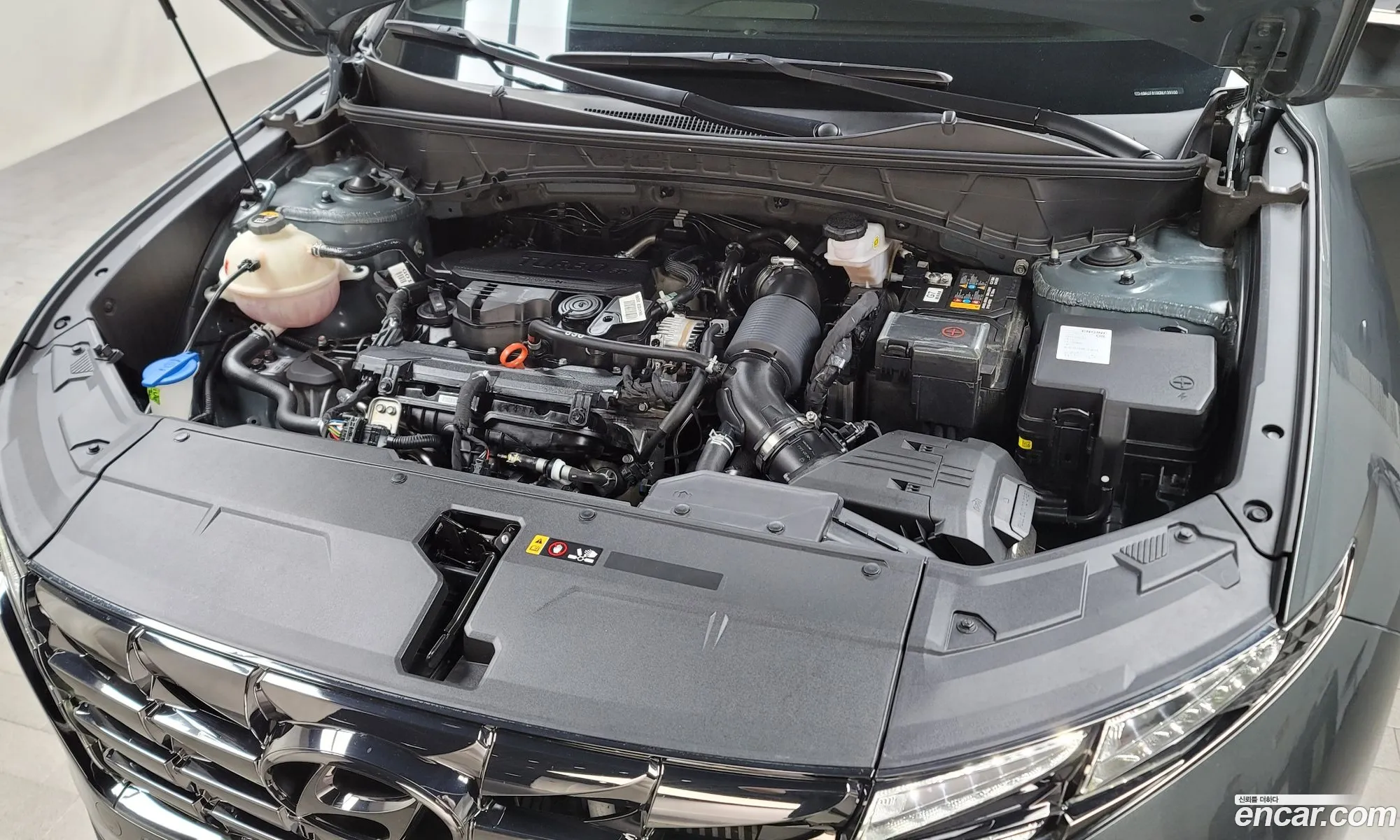 Hyundai Tucson Iv Gasoline 16 Turbo 2Wd 2022 - фотография 12530611
