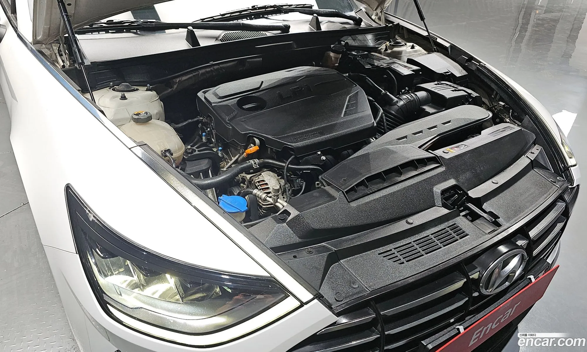 Hyundai Sonata Viii Dn8 20 Lpg For The Disabled 2020 - фотография 15854327