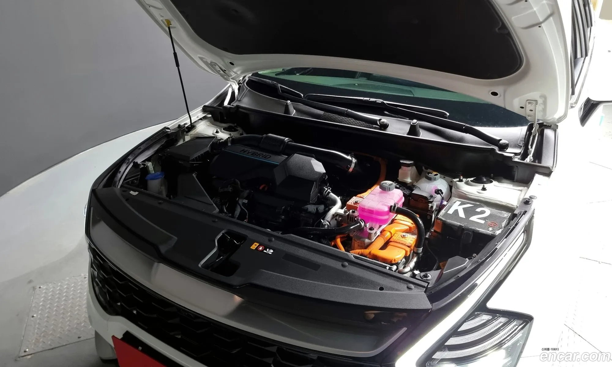 Kia Sportage Noblesse 2Wd 2024 - фотография 15906251
