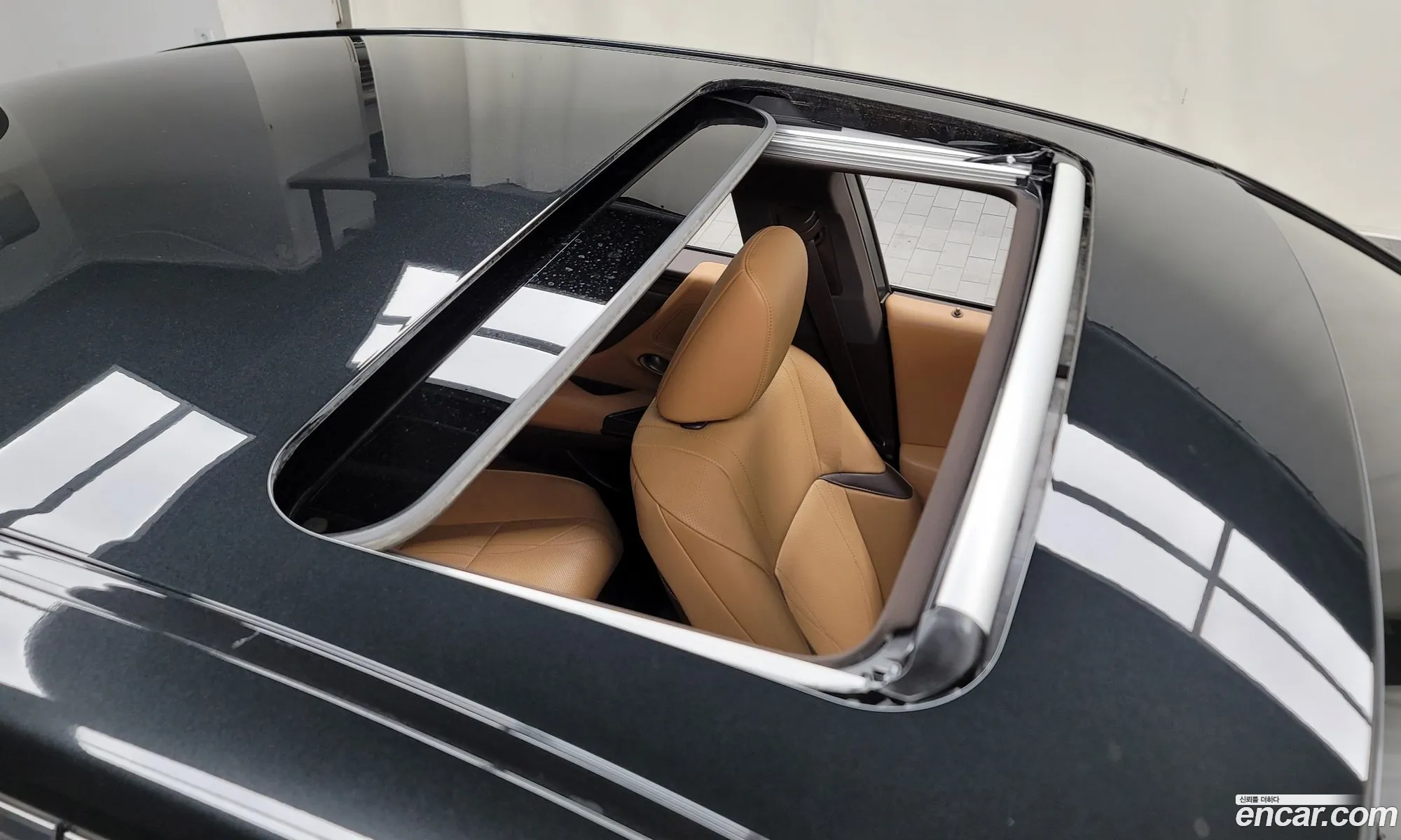 Korex Auto Trade - фотография 3913014