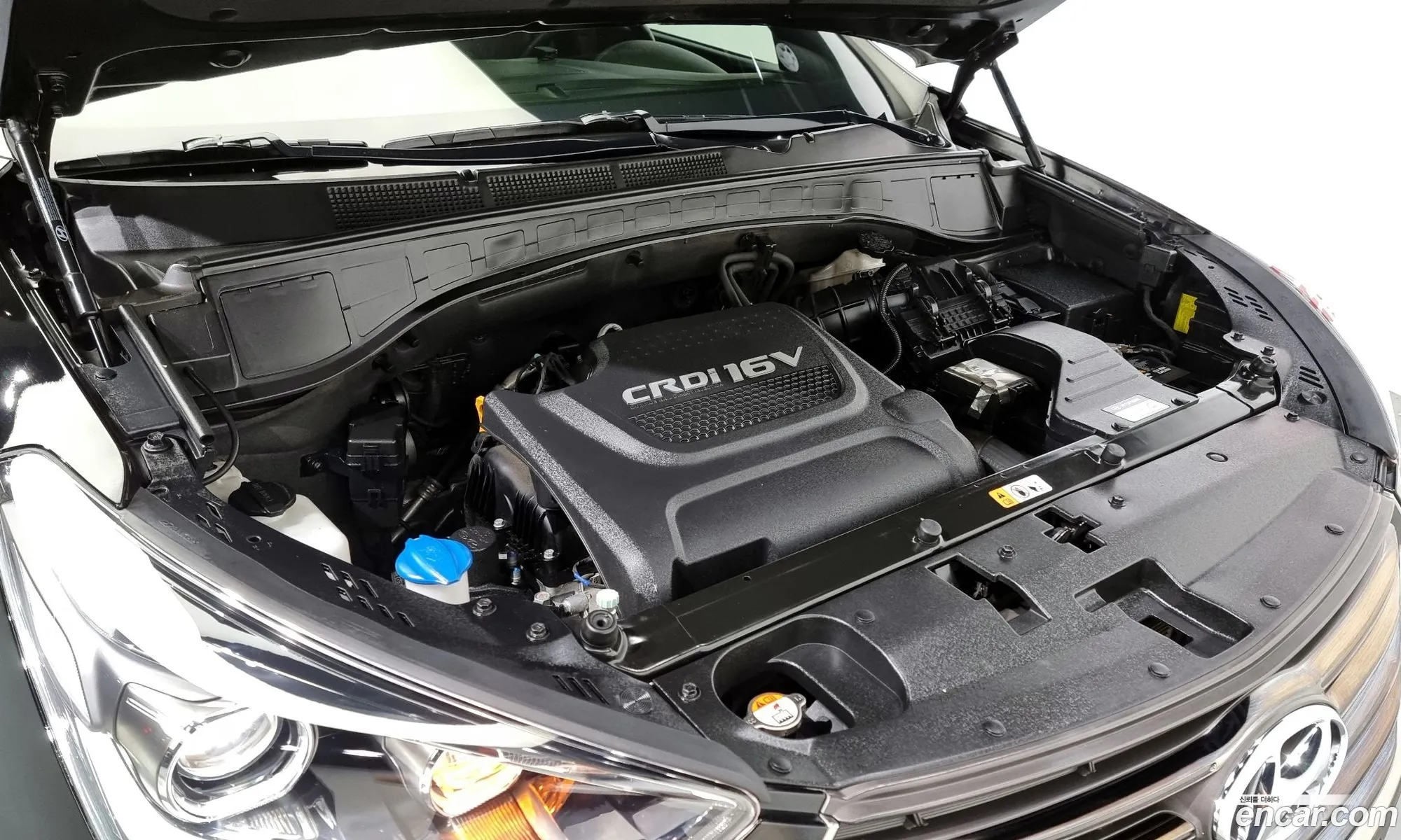 Korex Auto Trade - фотография 11325286