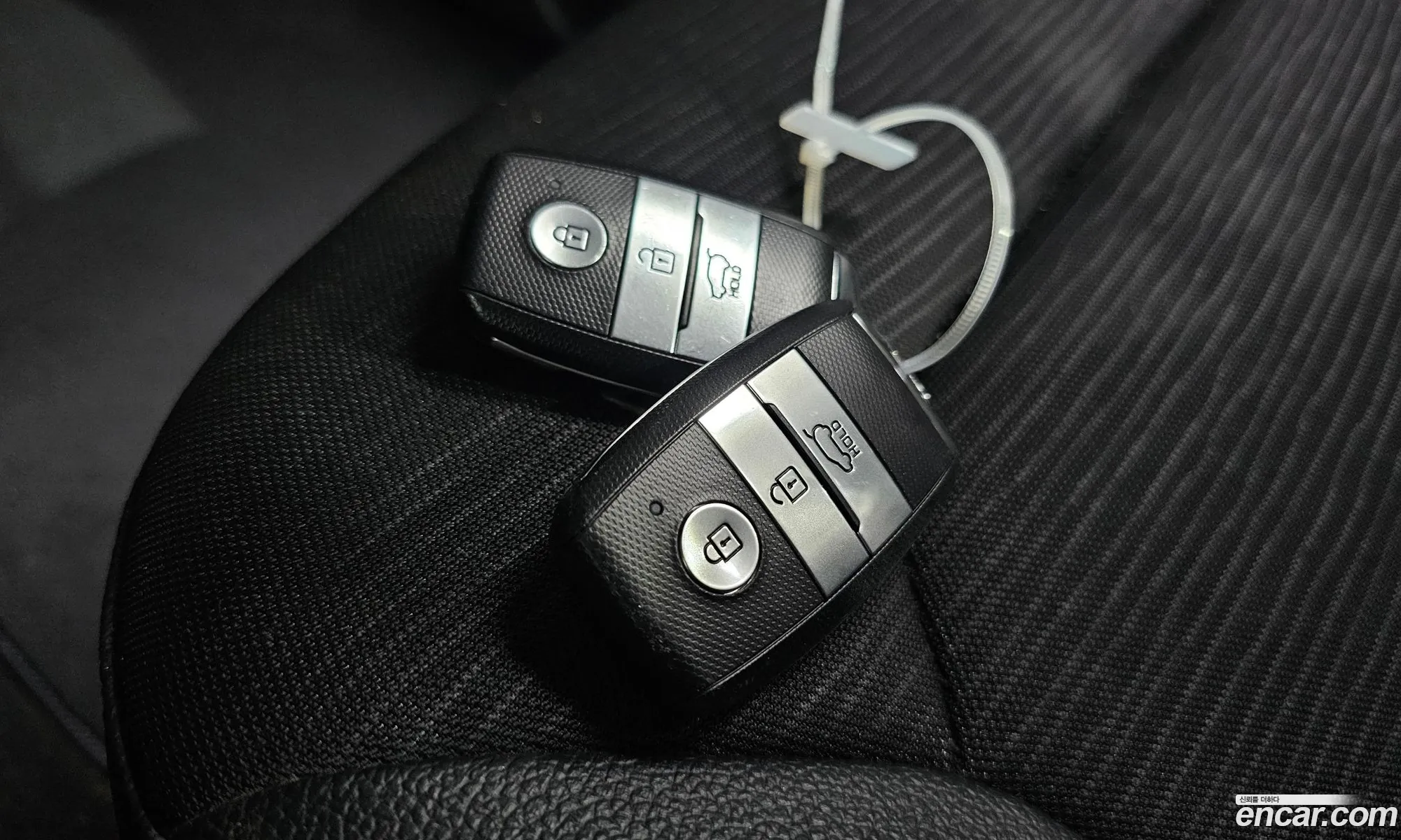 Korex Auto Trade - фотография 19213942