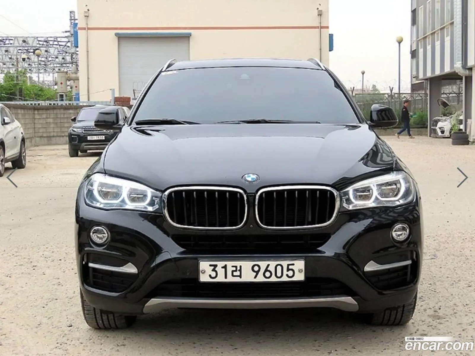 BMW X6 Ii F16 xDrive 30D 2017 - фотография 333473
