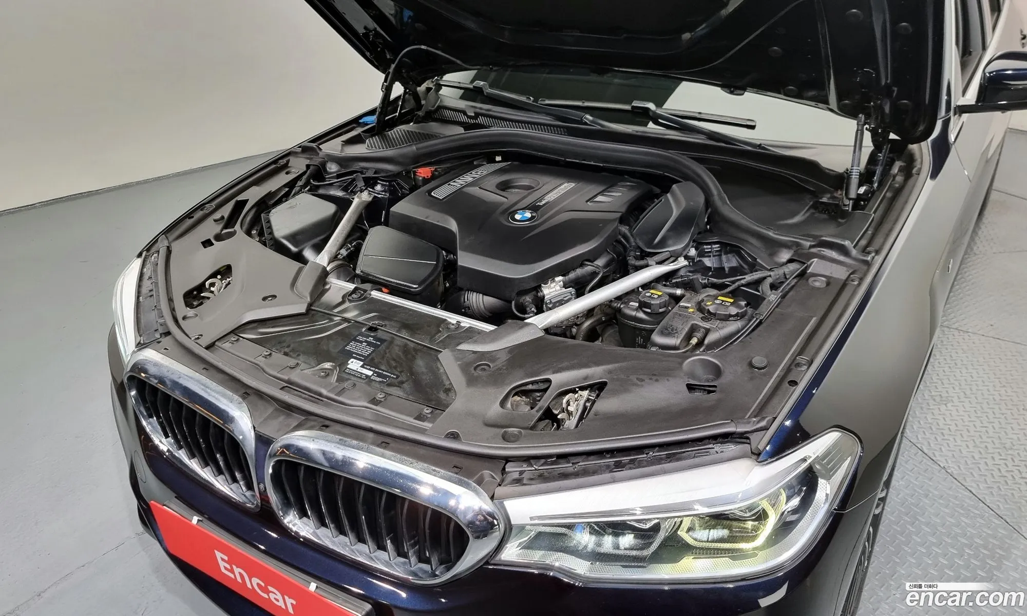 BMW 5Er Vii G30G31 530I xDrive M Sport Plus 2019 - фотография 12129166