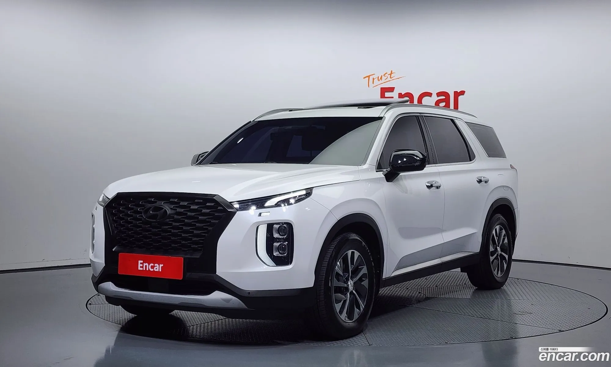 Hyundai Palisade I Diesel 22 2Wd 2019 - фотография 13559045
