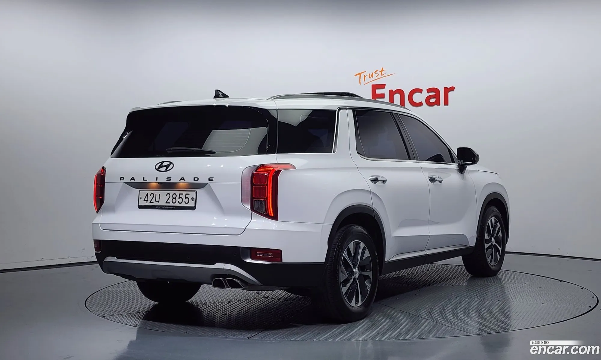 Hyundai Palisade I Diesel 22 2Wd 2019 - фотография 13559046