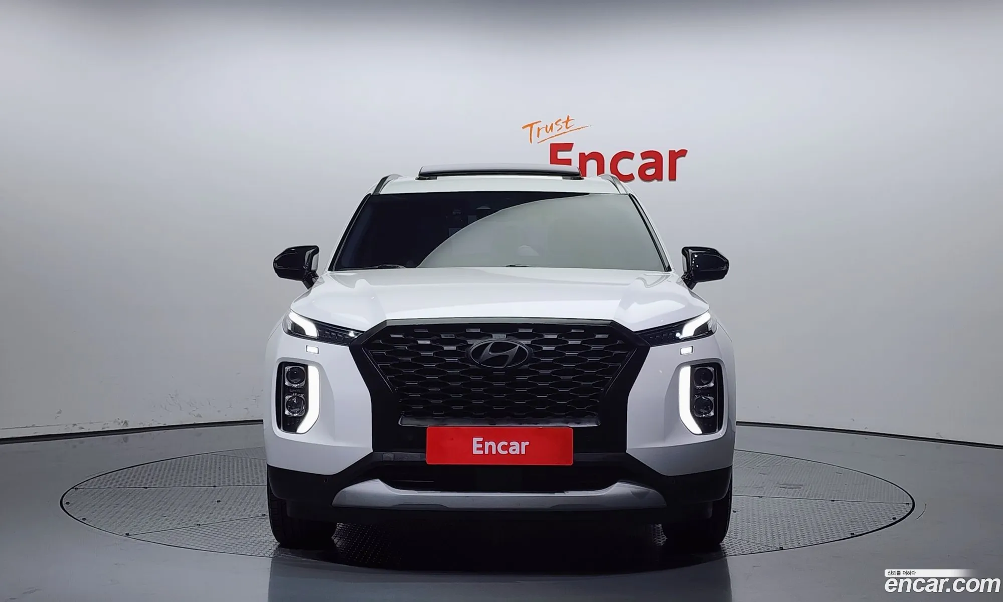 Hyundai Palisade I Diesel 22 2Wd 2019 - фотография 13559048