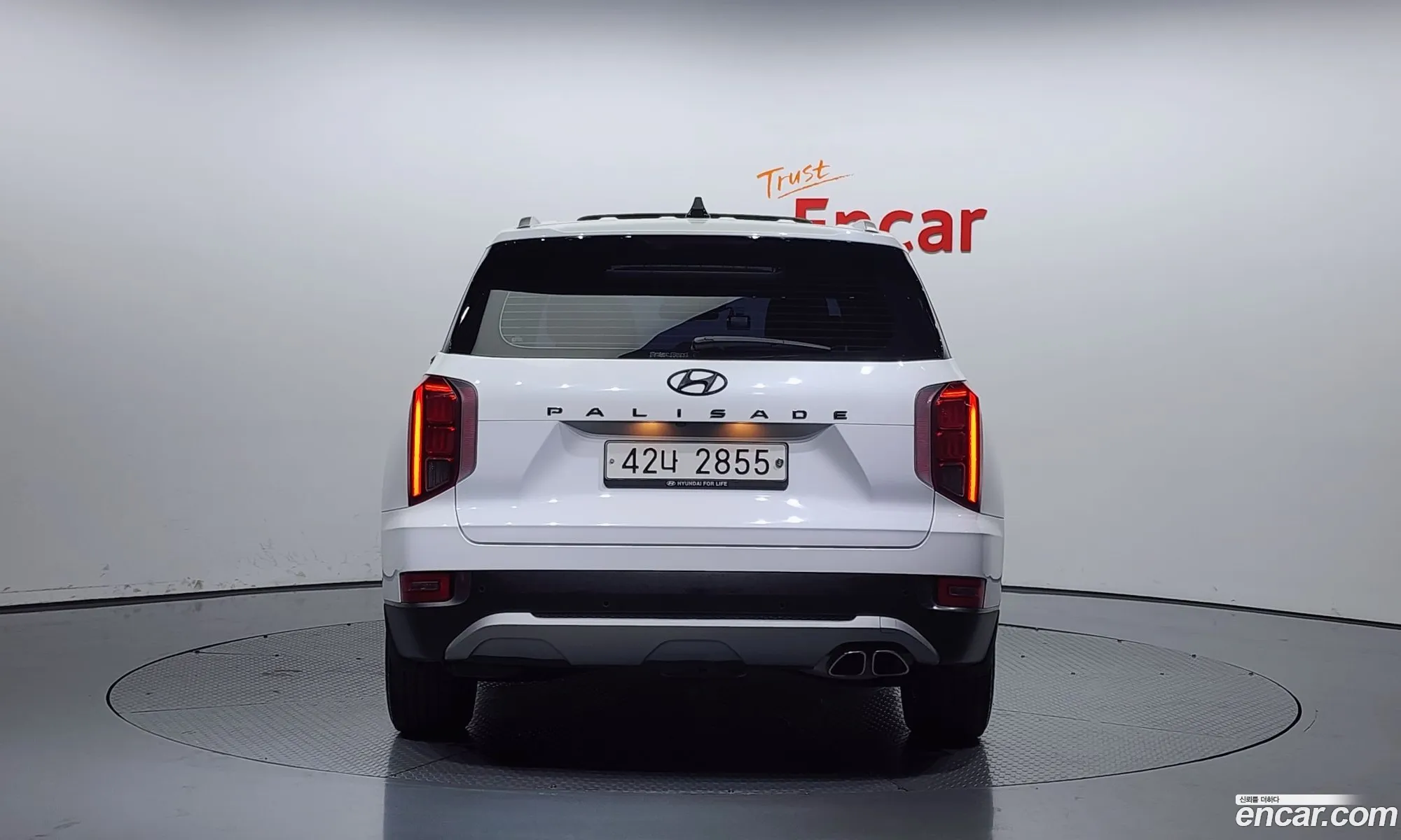 Hyundai Palisade I Diesel 22 2Wd 2019 - фотография 13559050