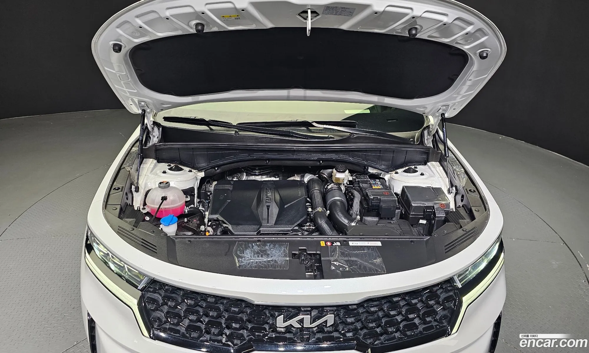 Korex Auto Trade - фотография 11029867