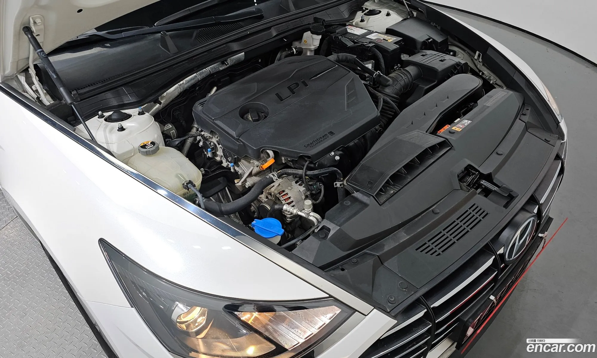 Hyundai Sonata Viii Dn8 20 Lpg For Rental Cars 2020 - фотография 18419003
