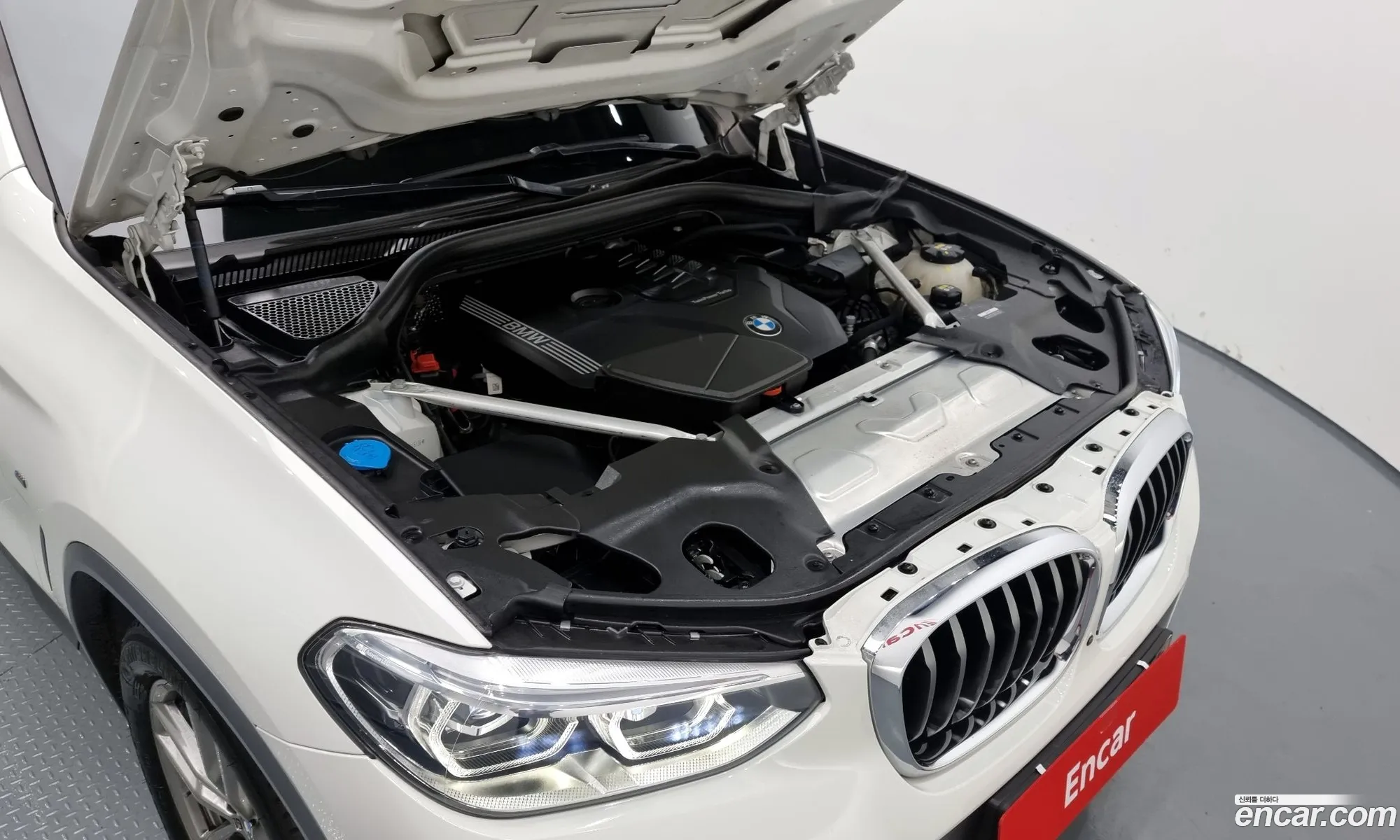 BMW X4 Ii G02 xDrive20I M Sports 2021 - фотография 12486884