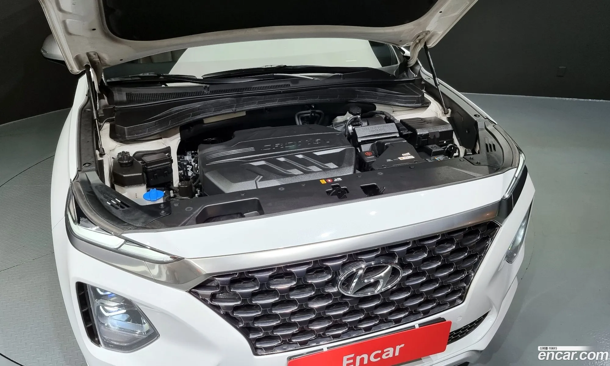 Hyundai Santa Fe Diesel 20 2Wd 2019 - фотография 12171306