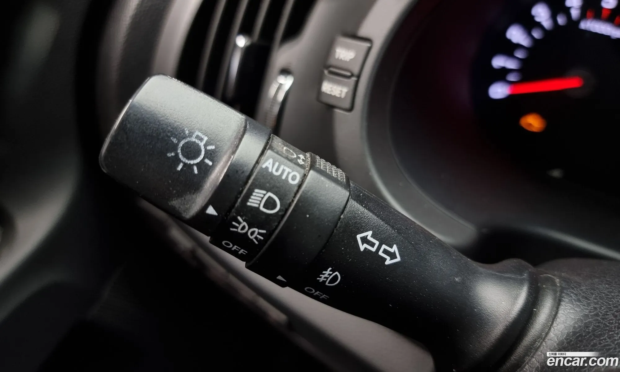 Korex Auto Trade - фотография 17498168