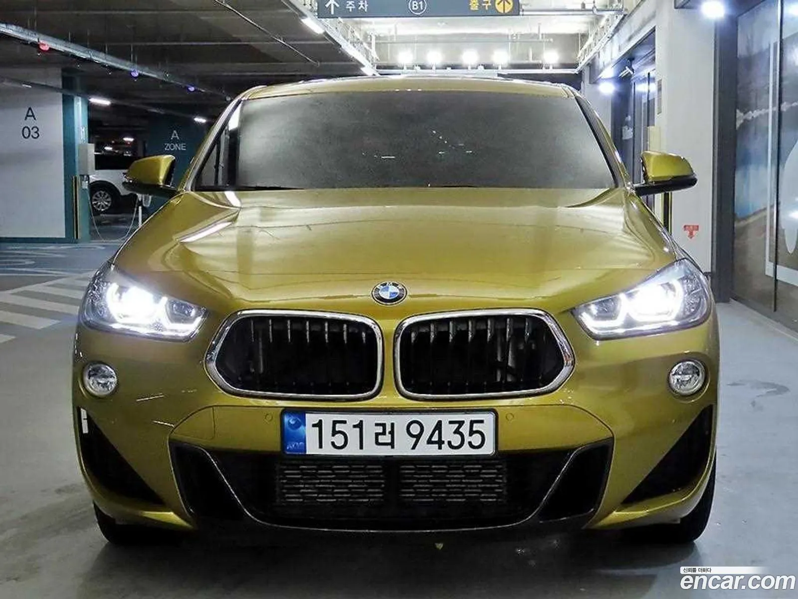 BMW X2 I F39 xDrive18D M Sports 2020 - фотография 16498726