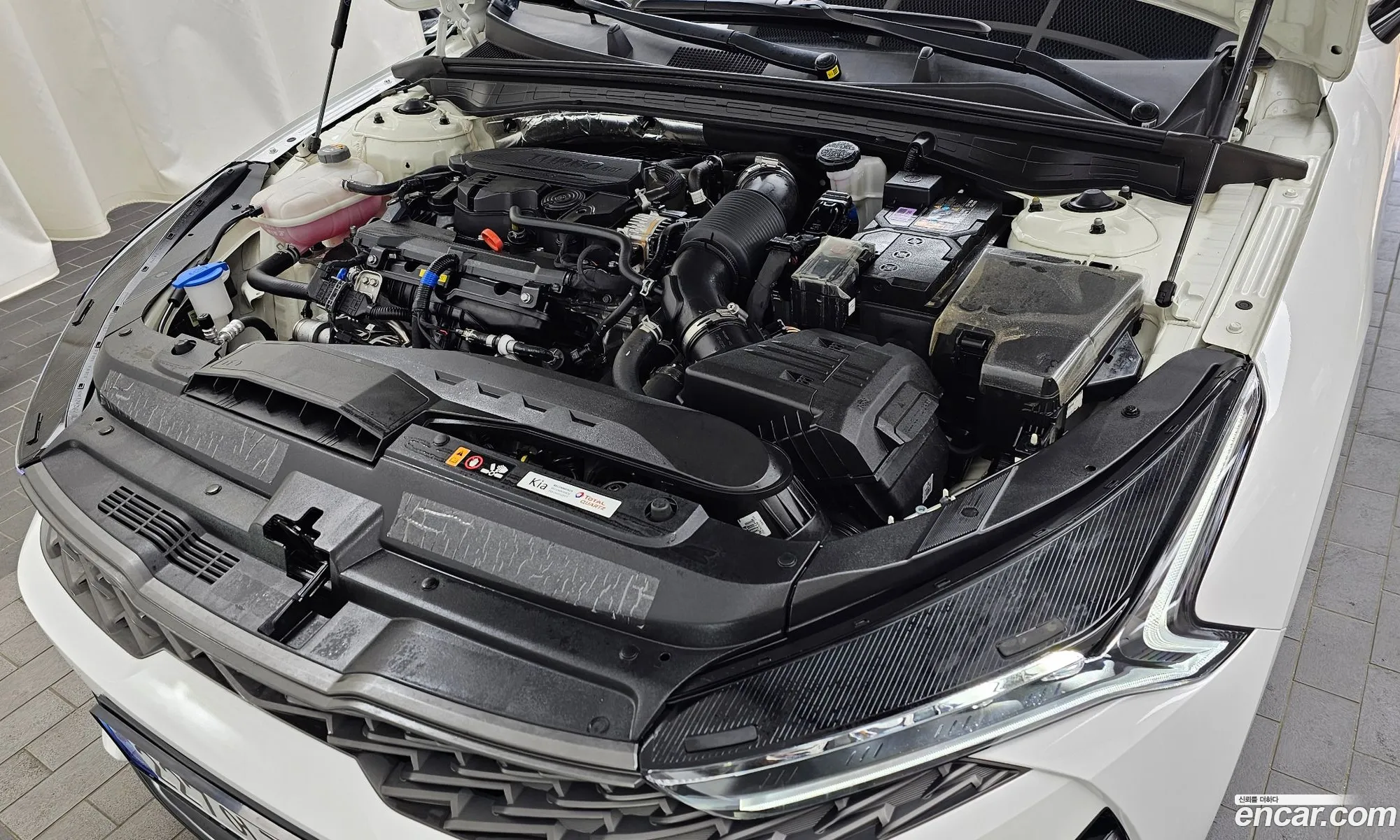 Kia K5 16 Turbo 2023 - фотография 17216859