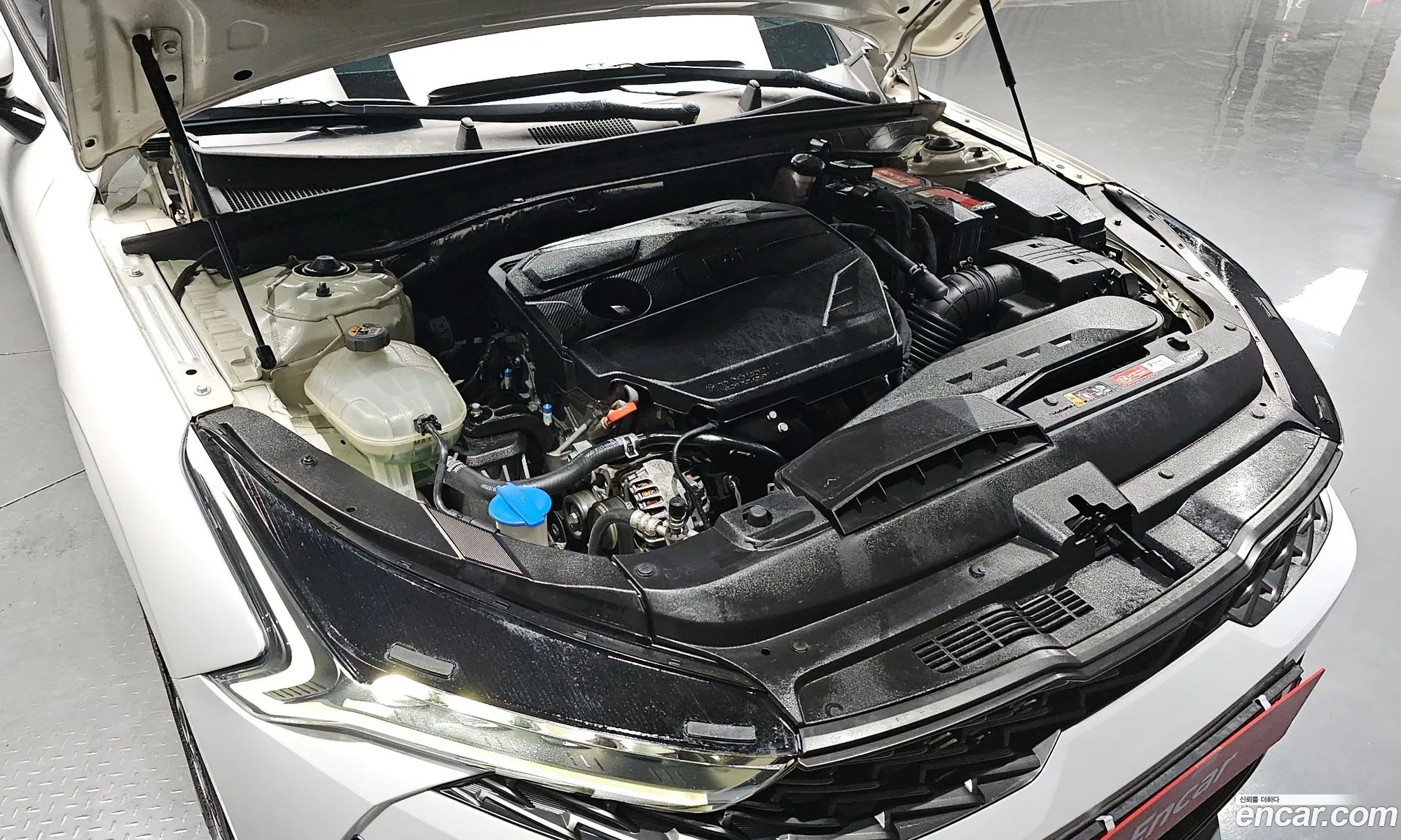 Kia K5 Ii 20 Lpi For Rental Cars 2020 - фотография 13559037