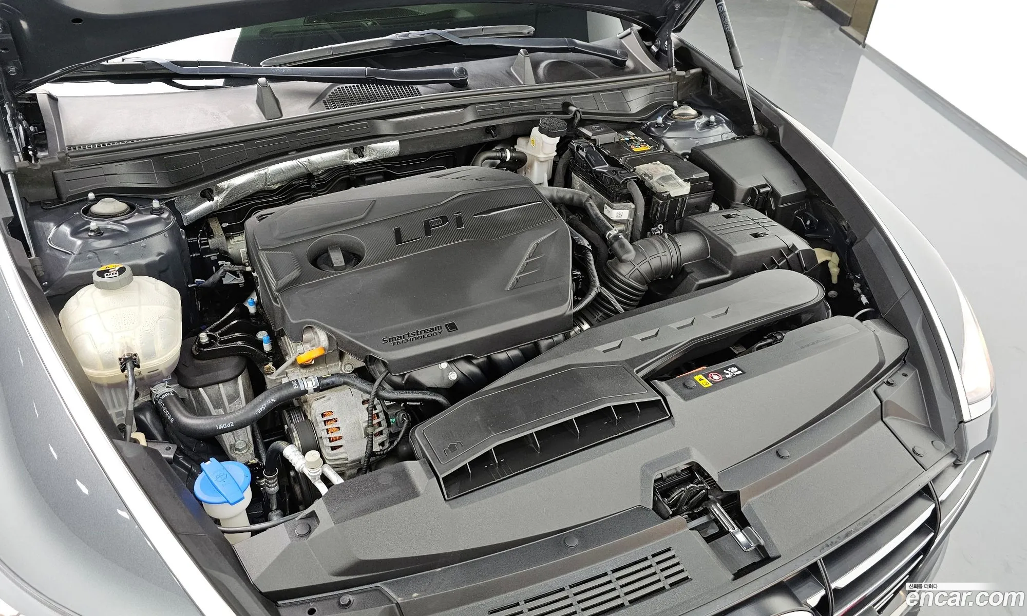 Hyundai Sonata Viii Dn8 20 Lpg For Rental Cars 2019 - фотография 12048155