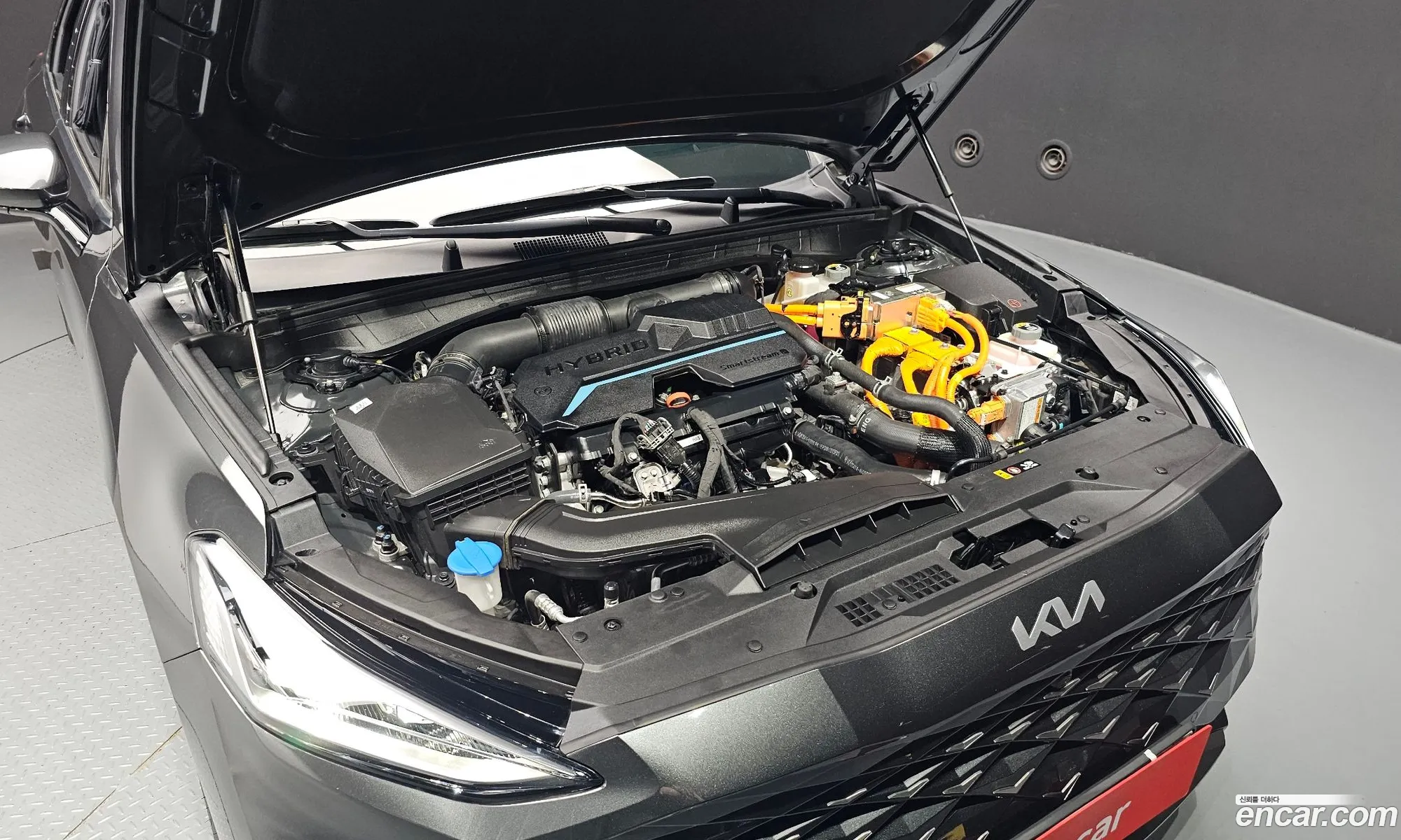 Kia K8 Signature 2023 - фотография 11353068