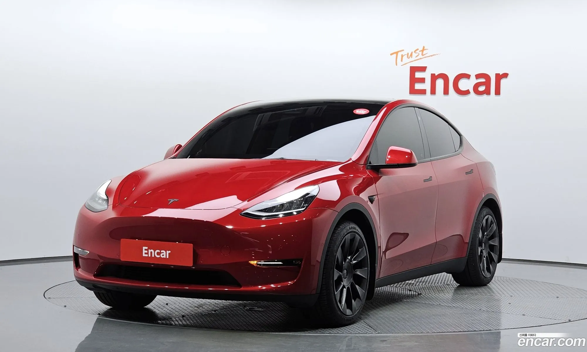 Tesla Model Y I Standard Range 2021 - фотография 3727381