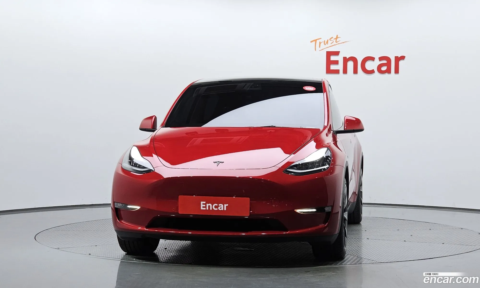 Tesla Model Y I Standard Range 2021 - фотография 3727383