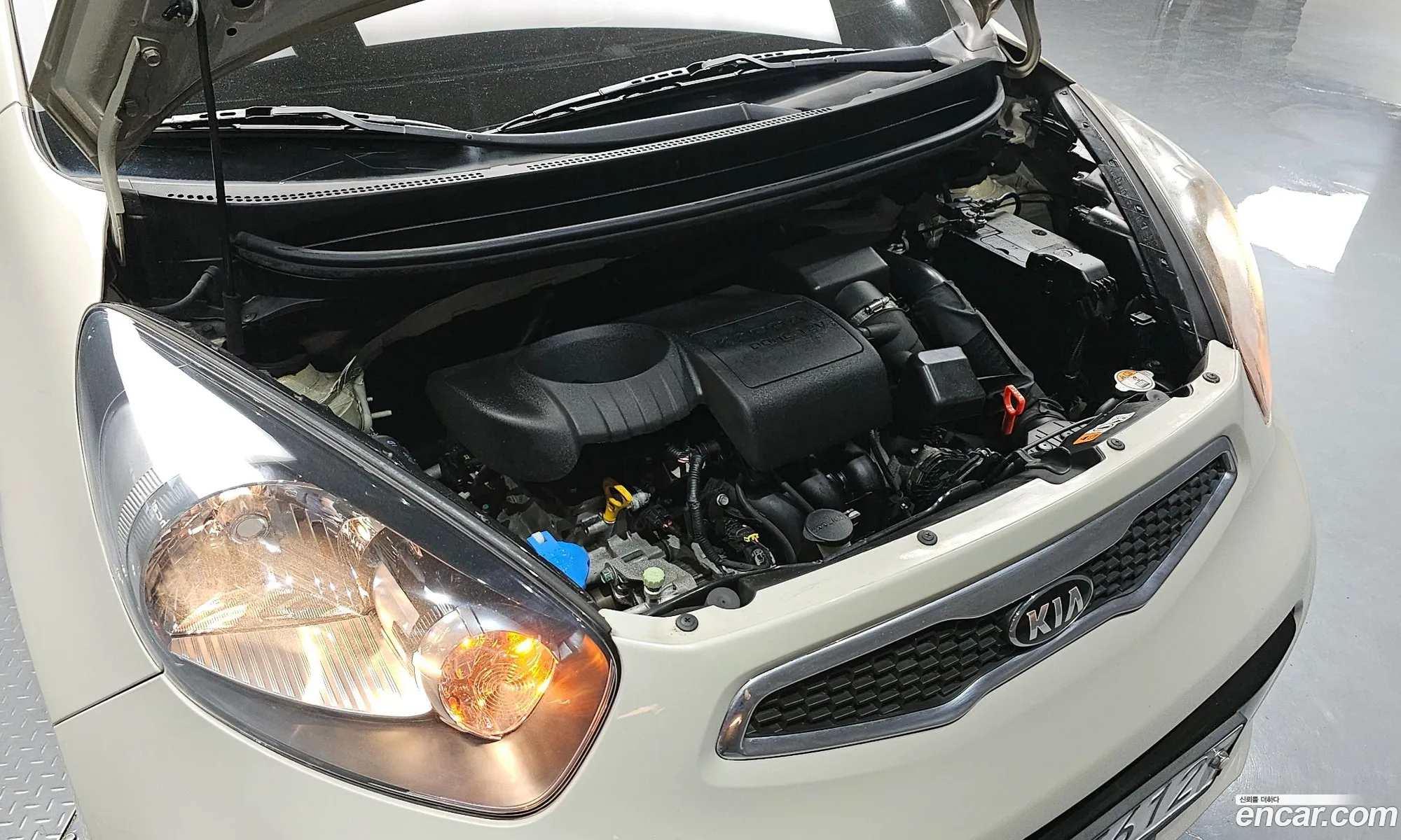 Korex Auto Trade - фотография 15703705