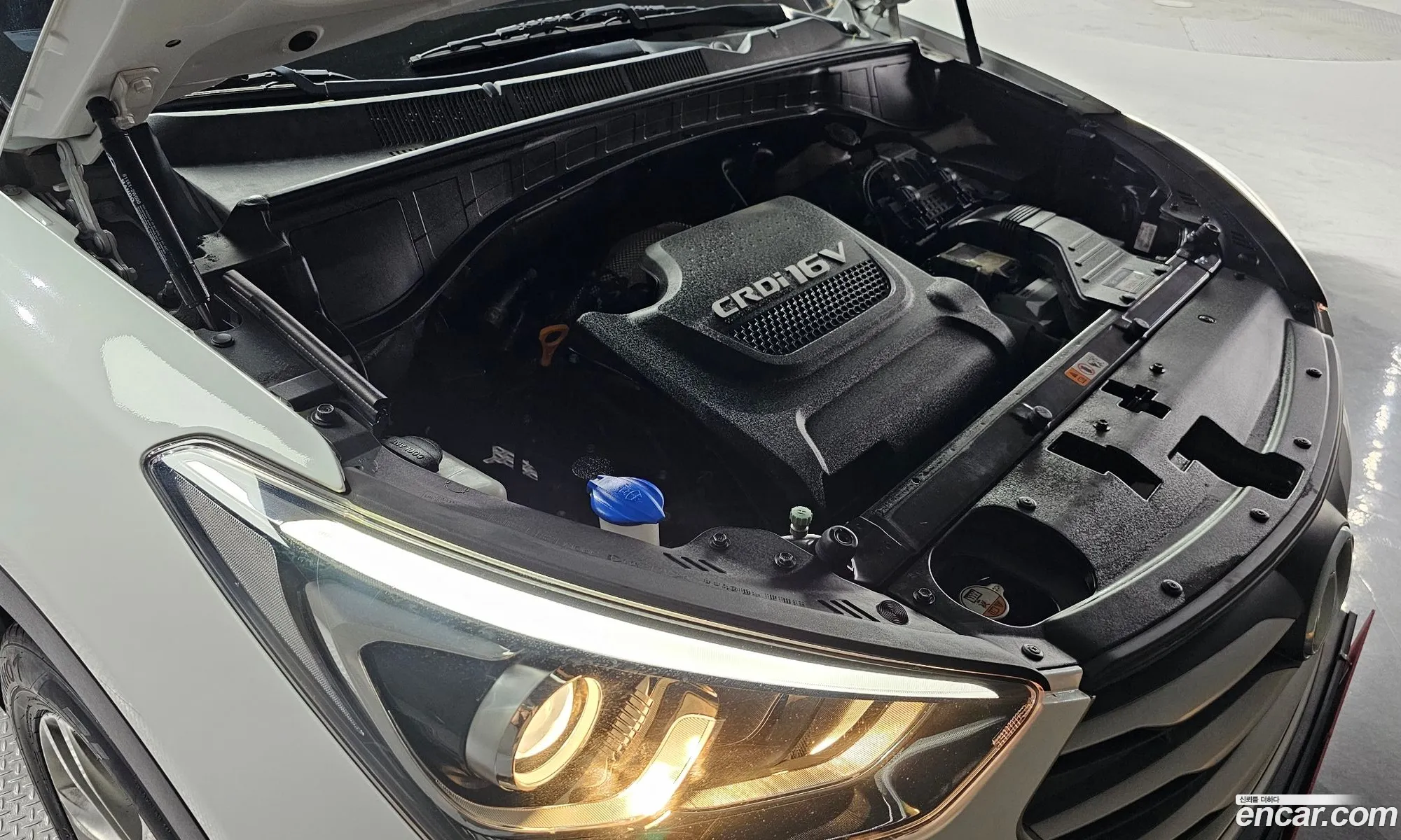 Korex Auto Trade - фотография 16008103