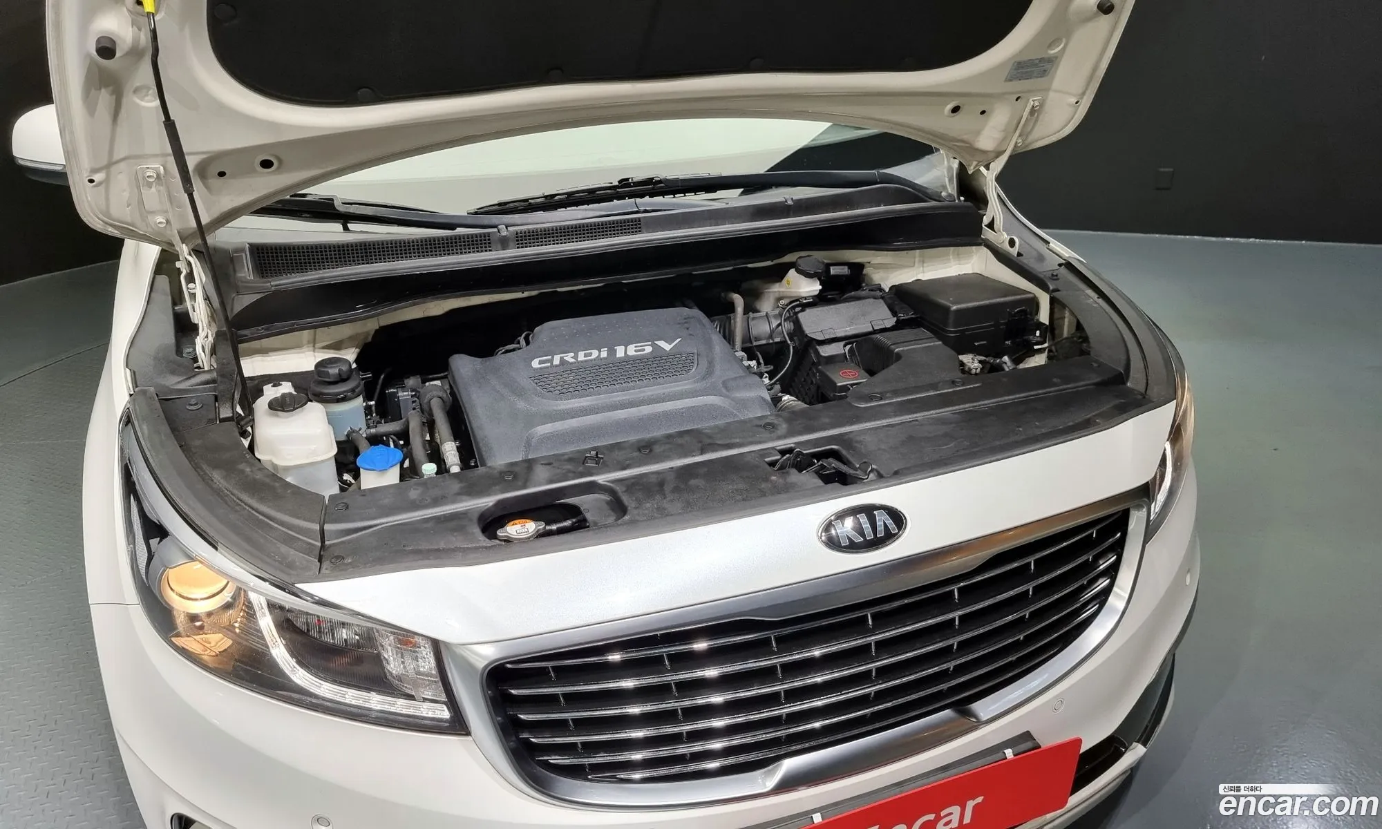 Kia Carnival 9-Seater Luxury 2016 - фотография 11408564