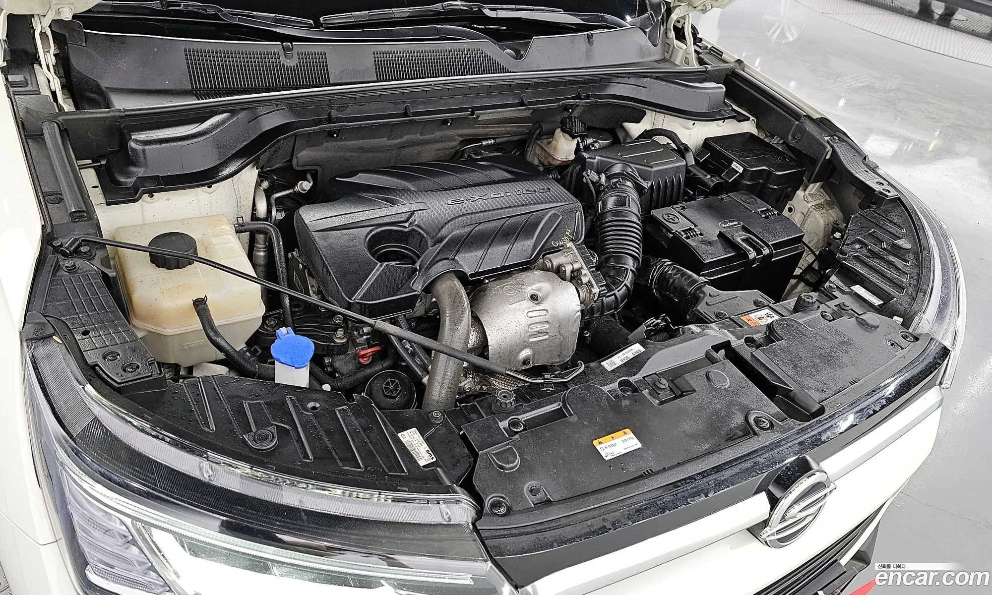 Ssangyong Korando Diesel 16 2Wd Delight Plus 2019 - фотография 19625988