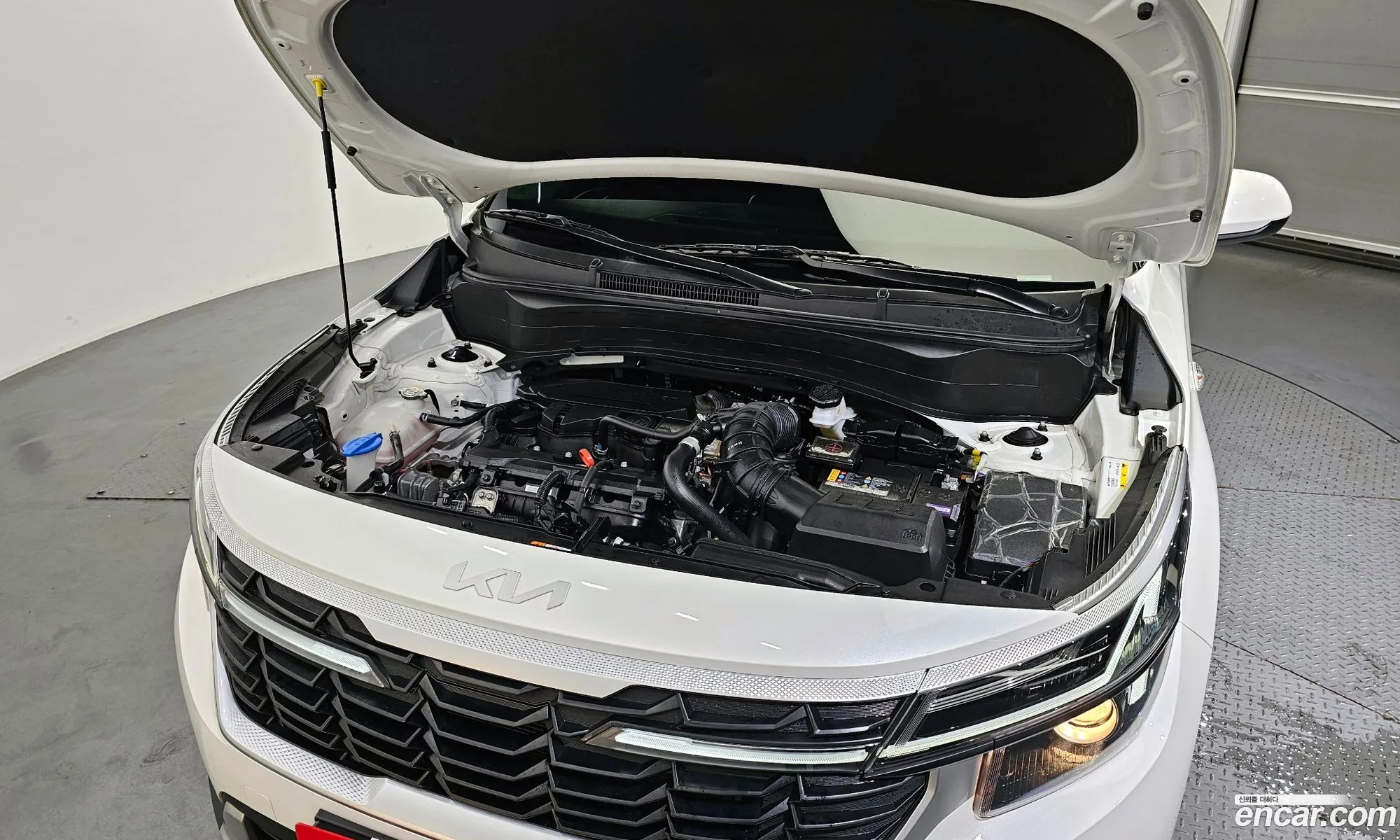 Kia Seltos Gasoline 16 Turbo 2Wd 2024 - фотография 17537794