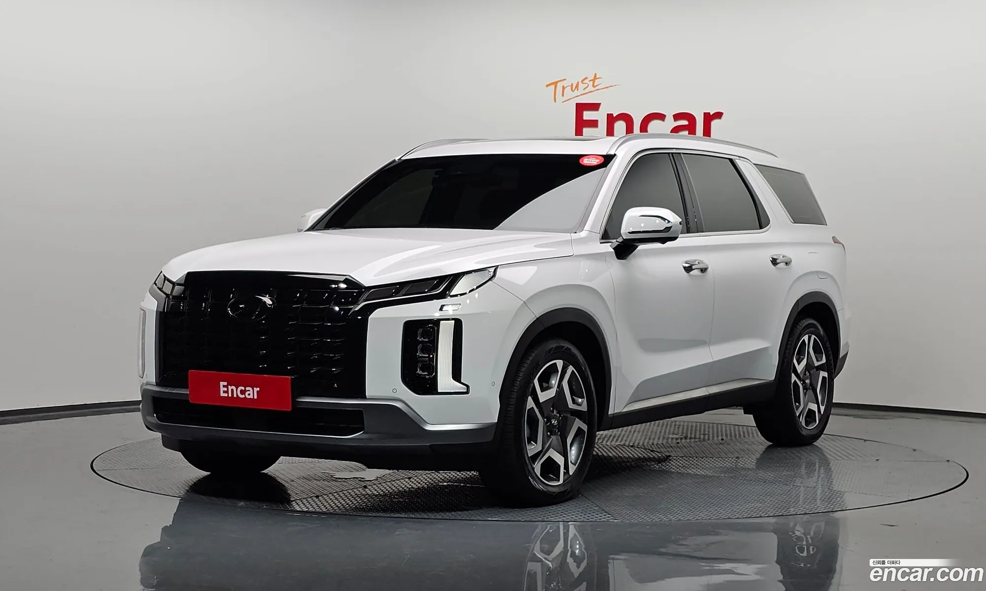 Hyundai Palisade Diesel 22 2Wd 2023 - фотография 12361738