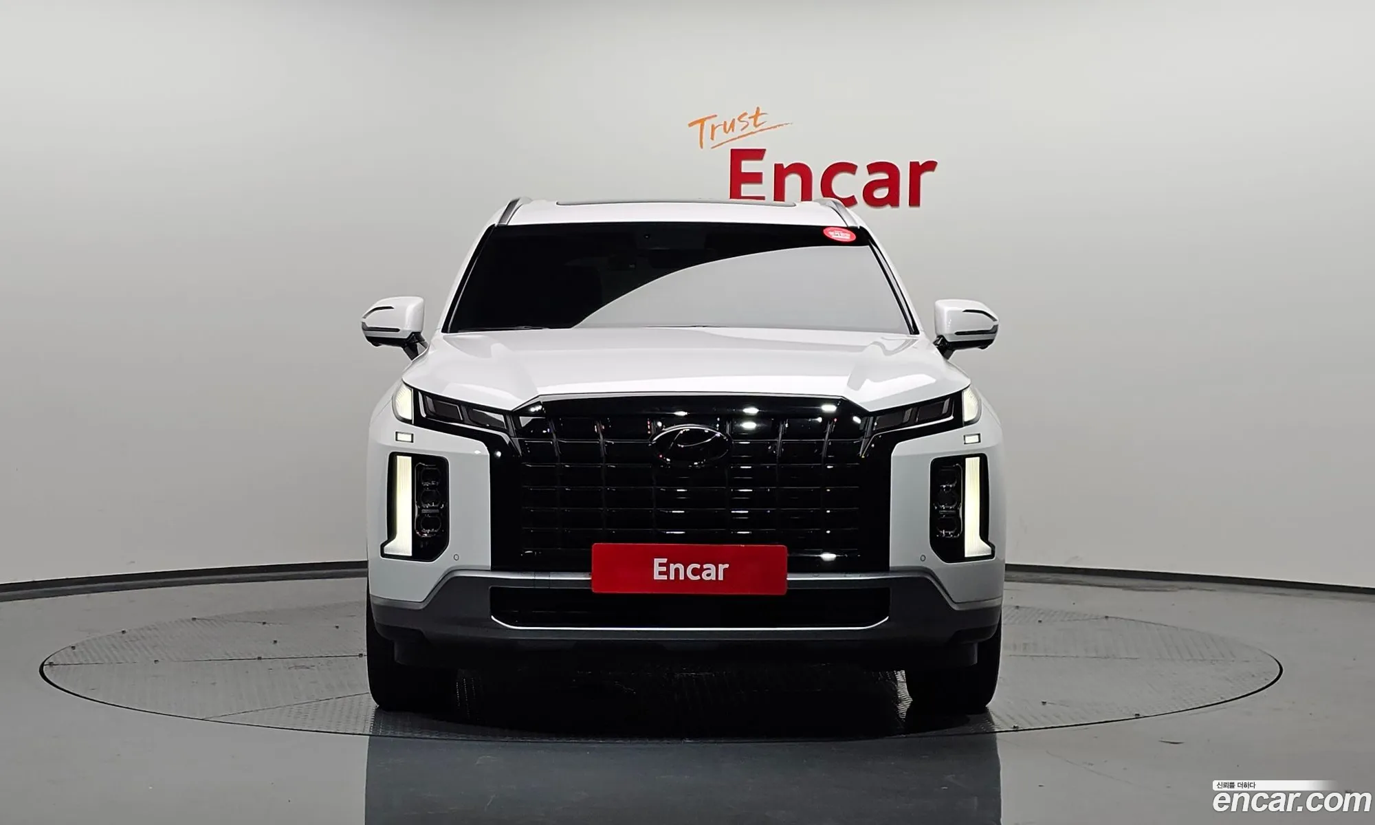Hyundai Palisade Diesel 22 2Wd 2023 - фотография 12361740