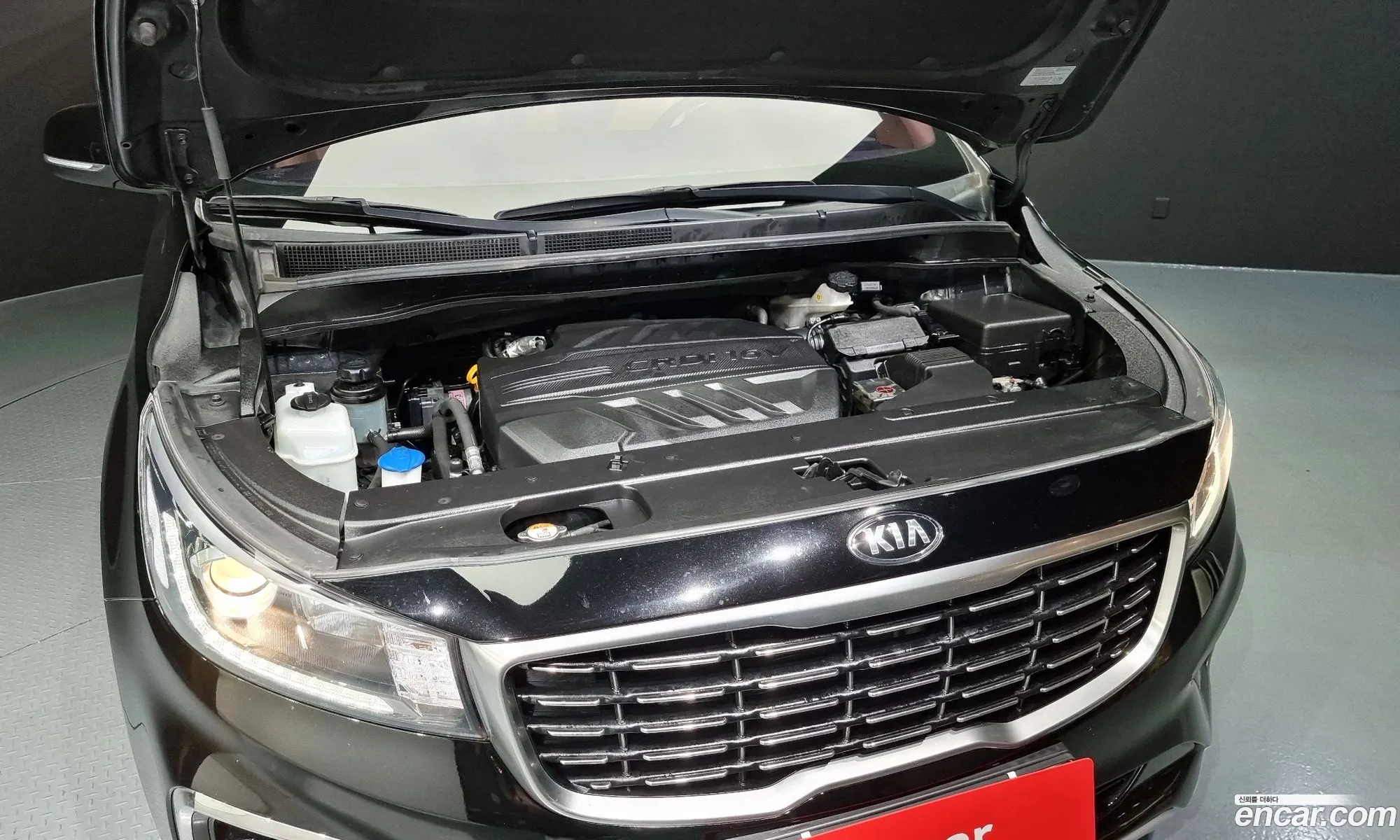 Kia Carnival Iii 9-Seater Luxury 2019 - фотография 11029966