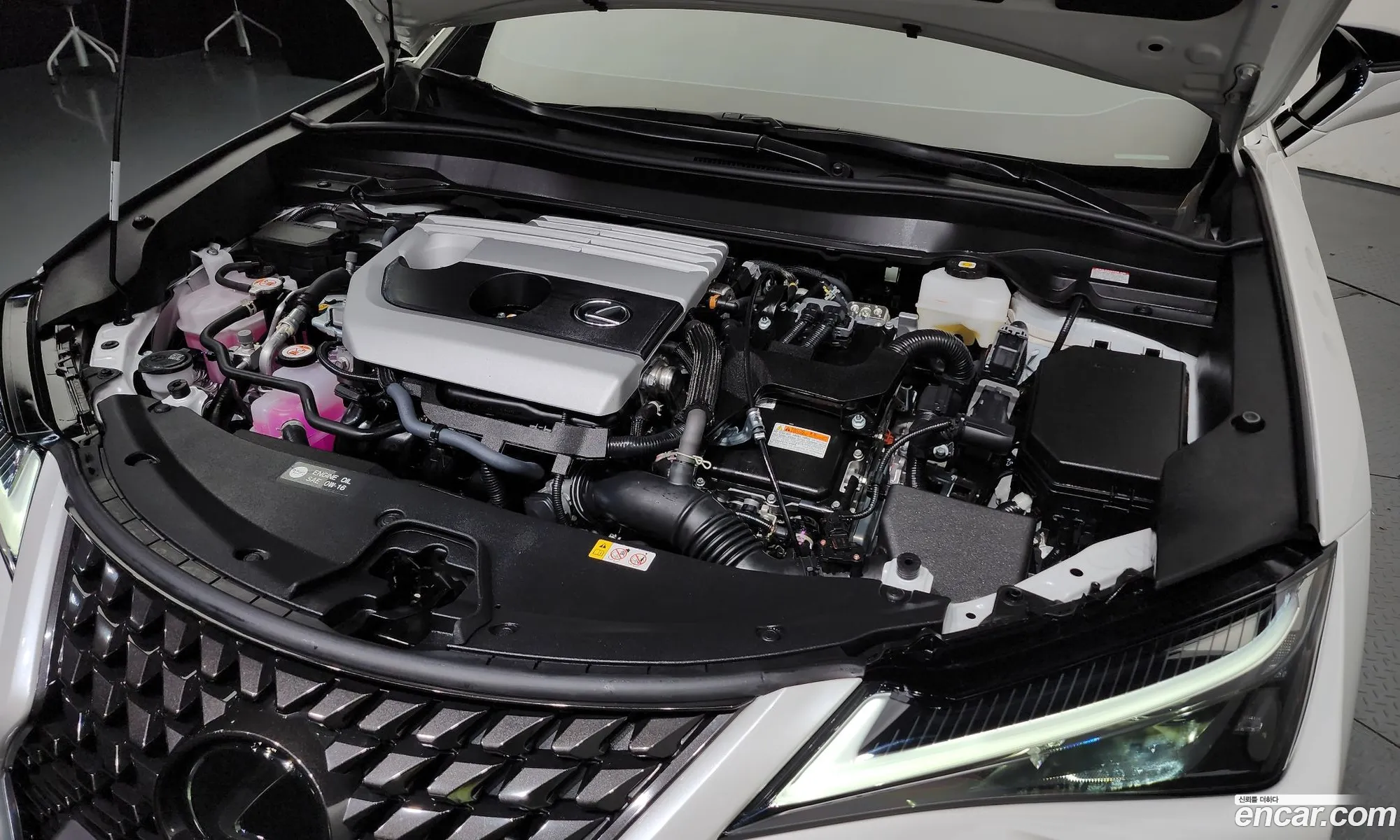 Lexus Ux 20 2Wd 2024 - фотография 3720906
