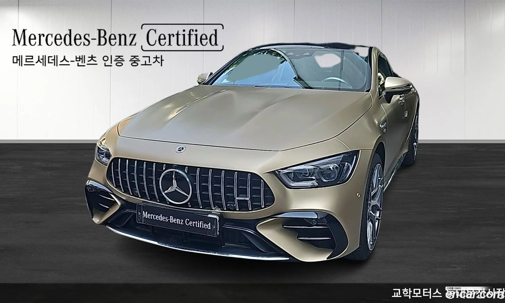 Mercedes-Benz Amg Gt 4-Door 43 4Matic Dynamic 2023 - фотография 12655447