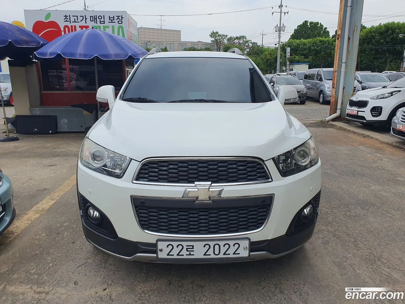 Chevrolet Captiva 2Wd Lt Premium 2013 - фотография 19629565