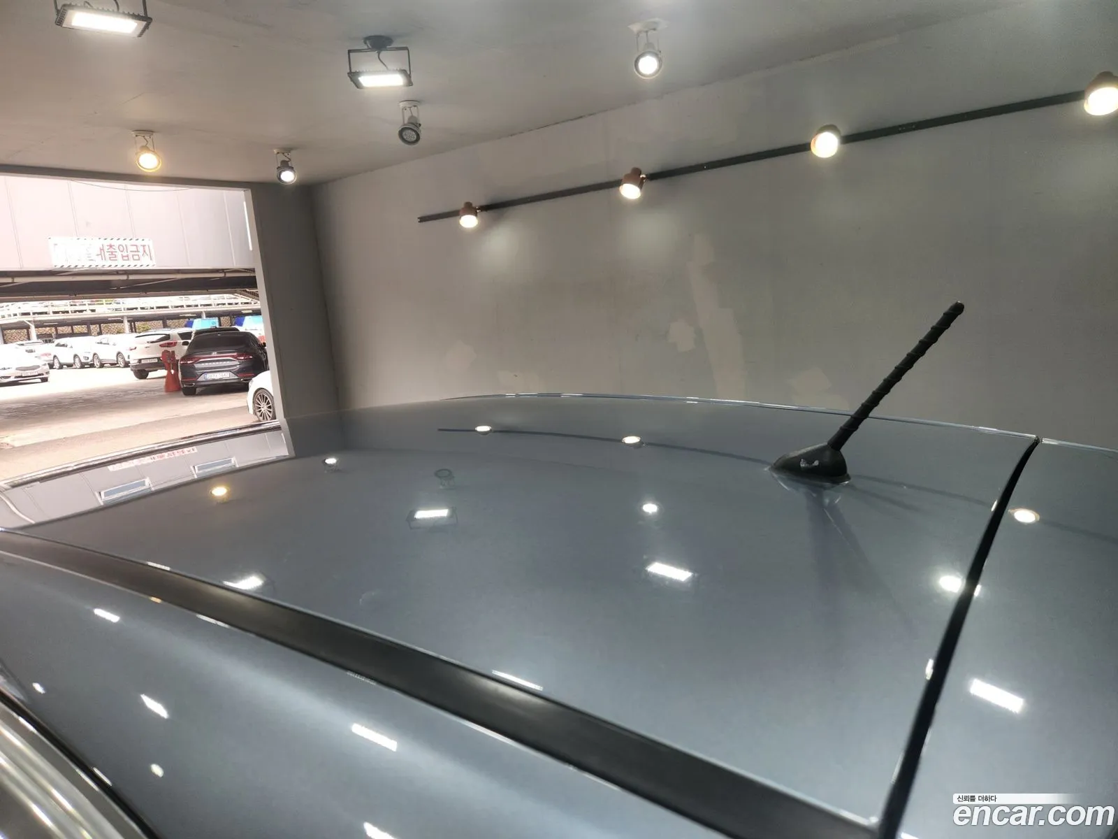 Korex Auto Trade - фотография 19332105