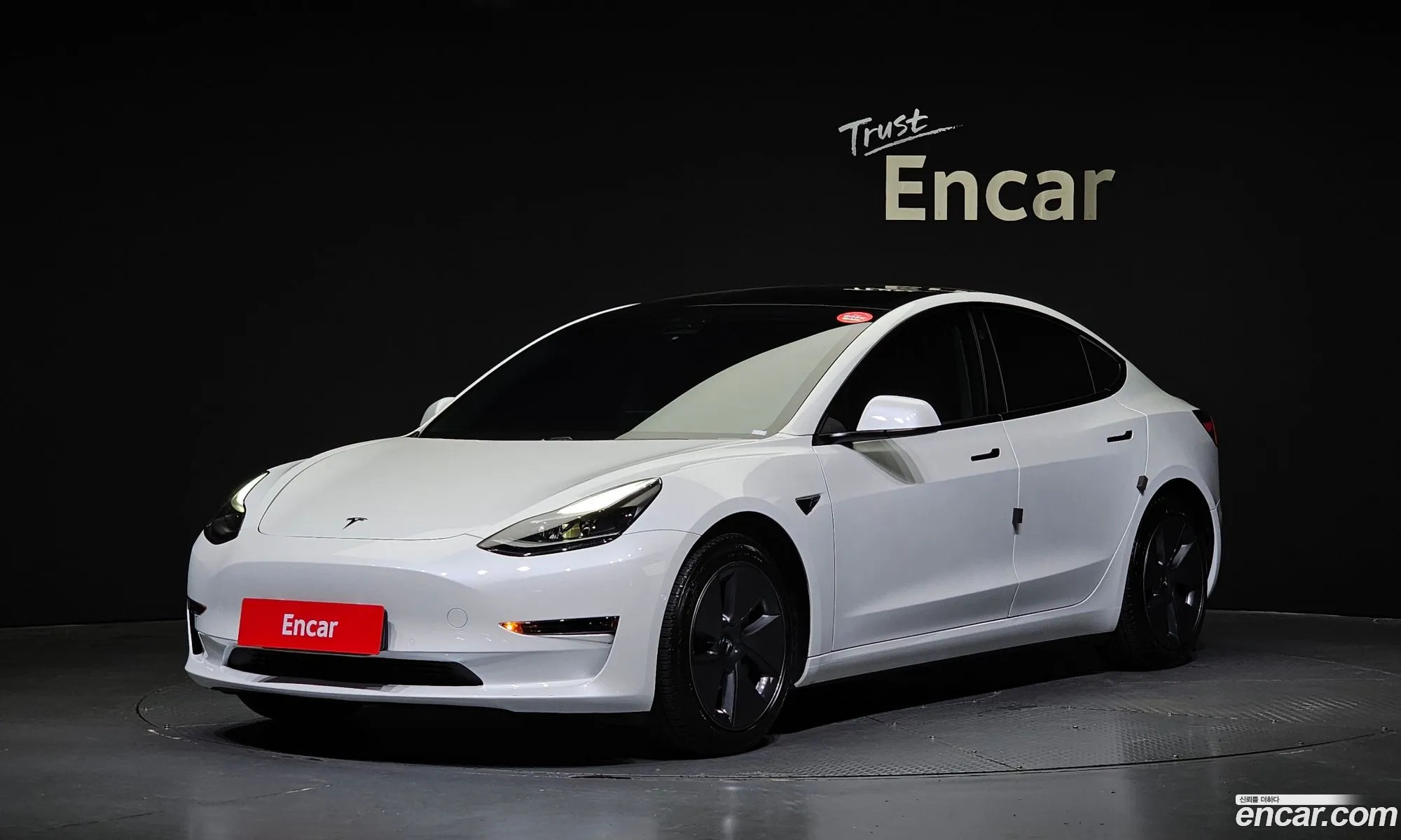 Tesla Model 3 I Standard Range Plus 2021 - фотография 14550628