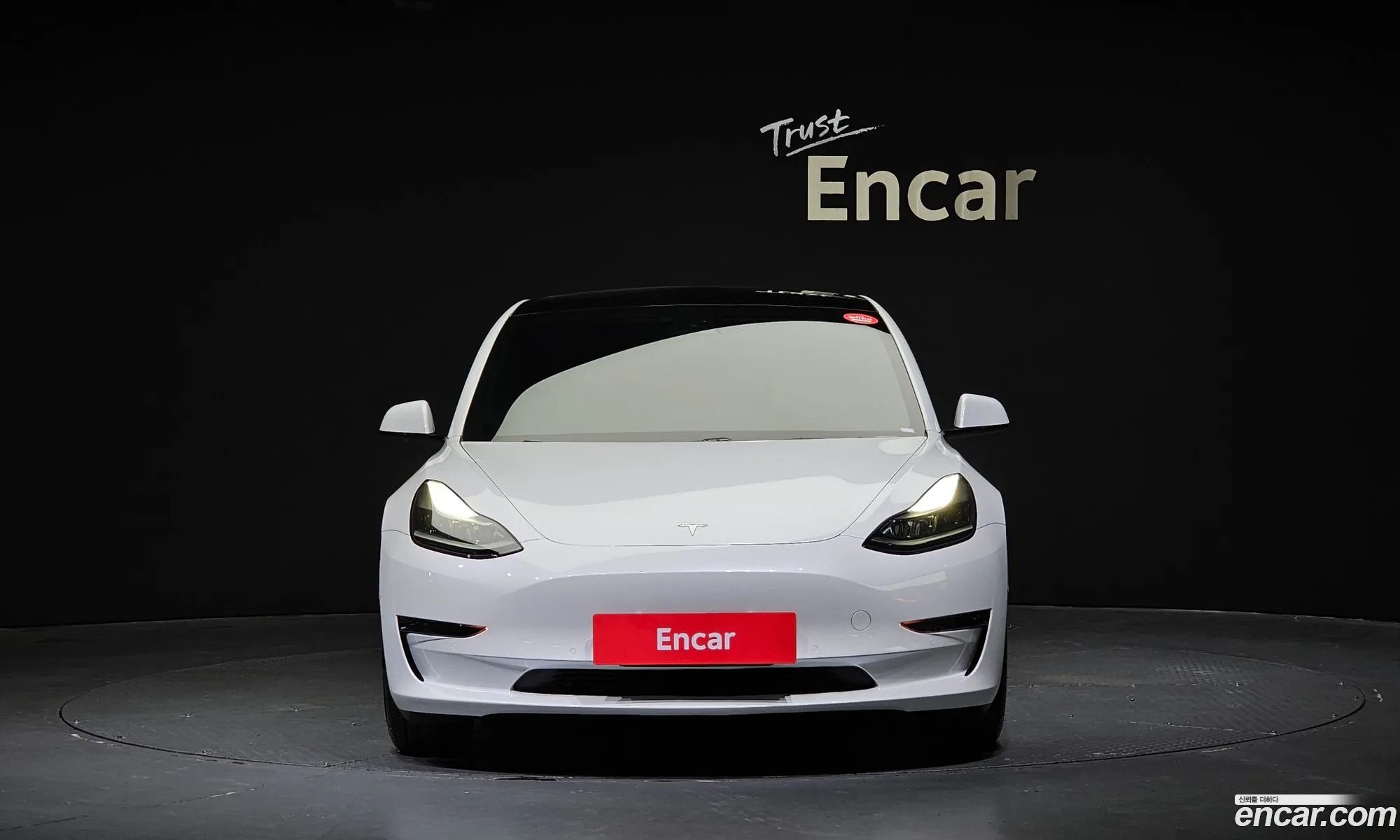 Tesla Model 3 I Standard Range Plus 2021 - фотография 14550630
