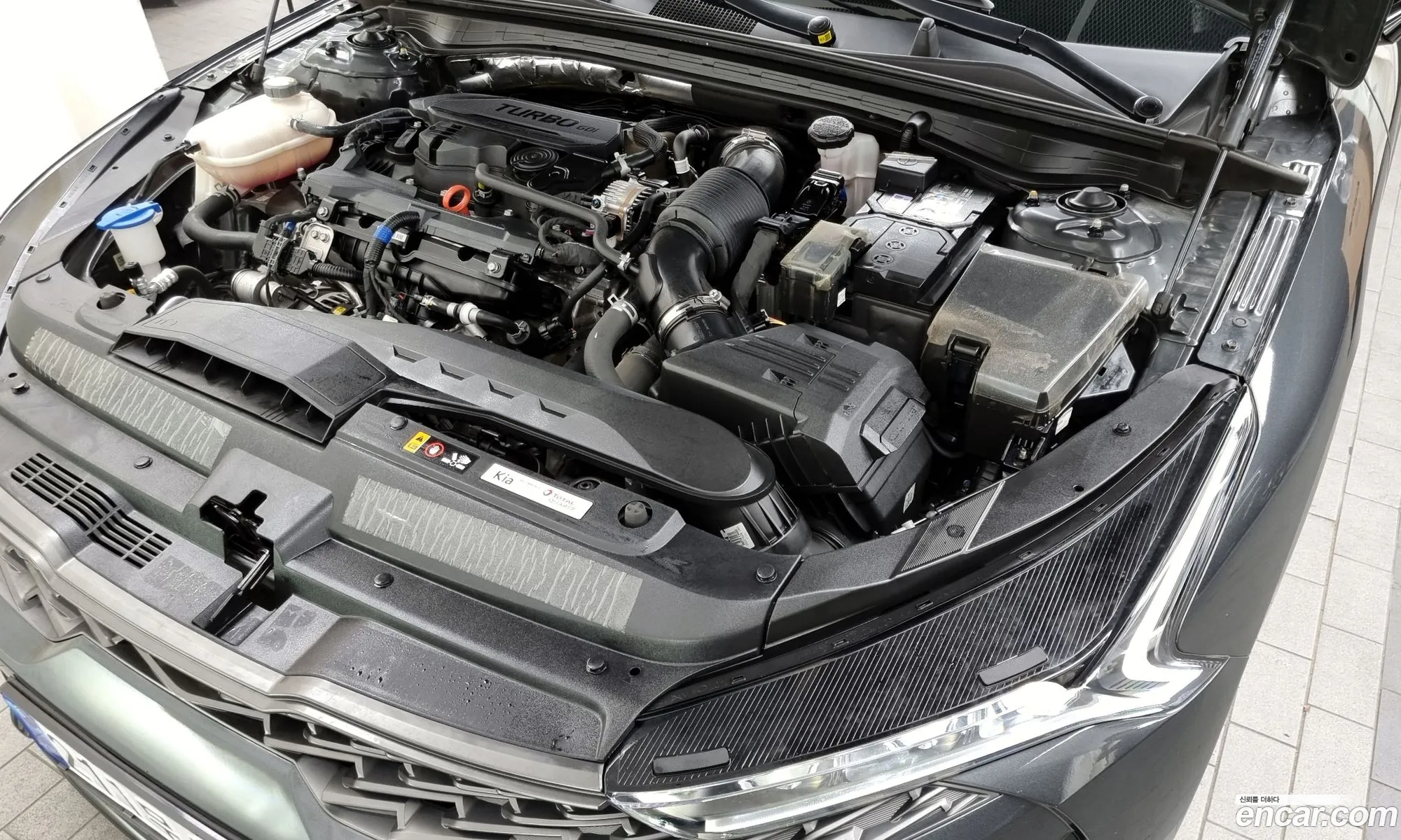 Kia K5 16 Turbo 2023 - фотография 12389607