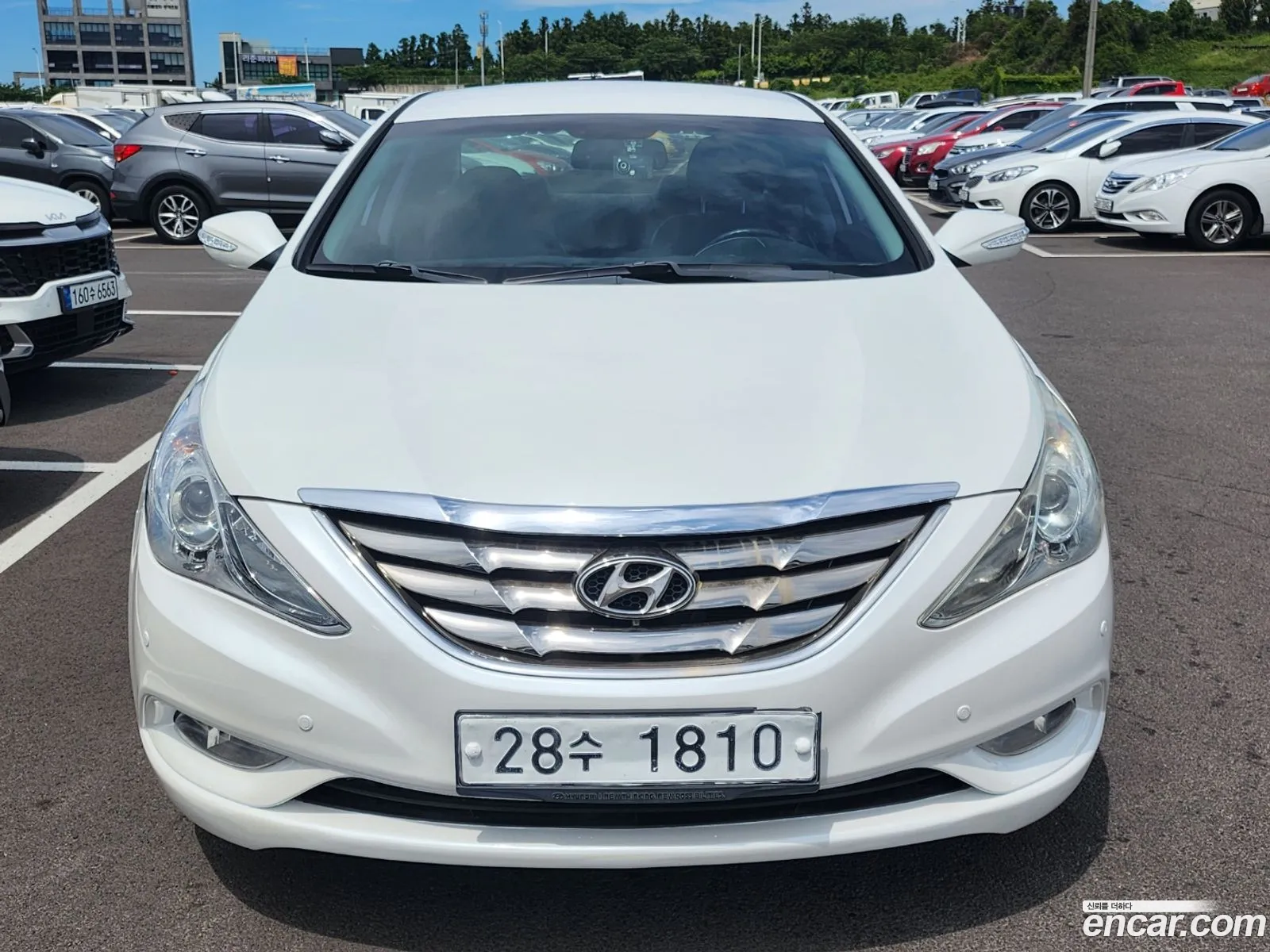 Hyundai Sonata Y20 Prime 2011 - фотография 19191877
