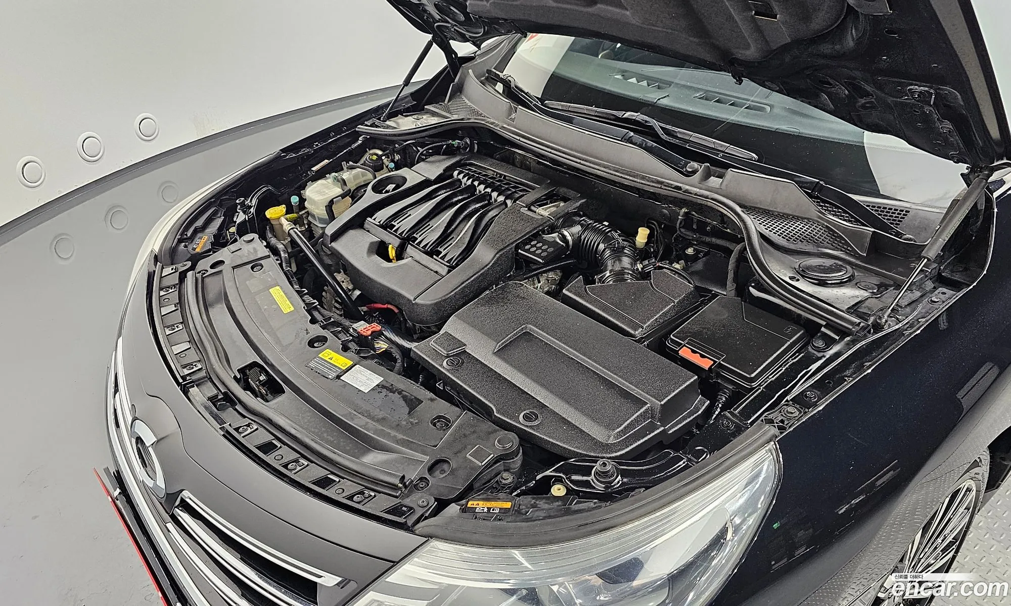 Renault Samsung Sm5 Re 2016 - фотография 3144729