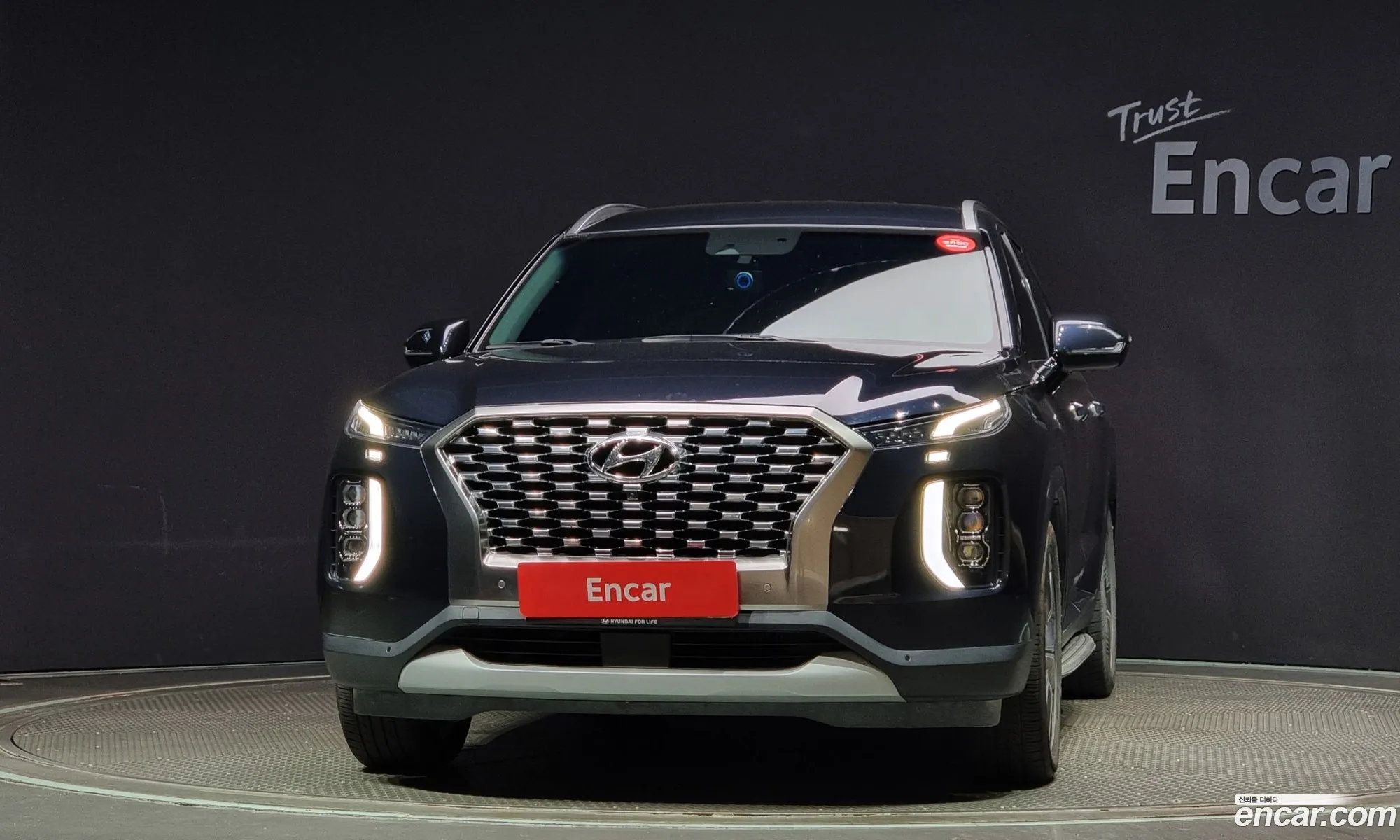 Hyundai Palisade I Diesel 22 2Wd 2019 - фотография 14934354