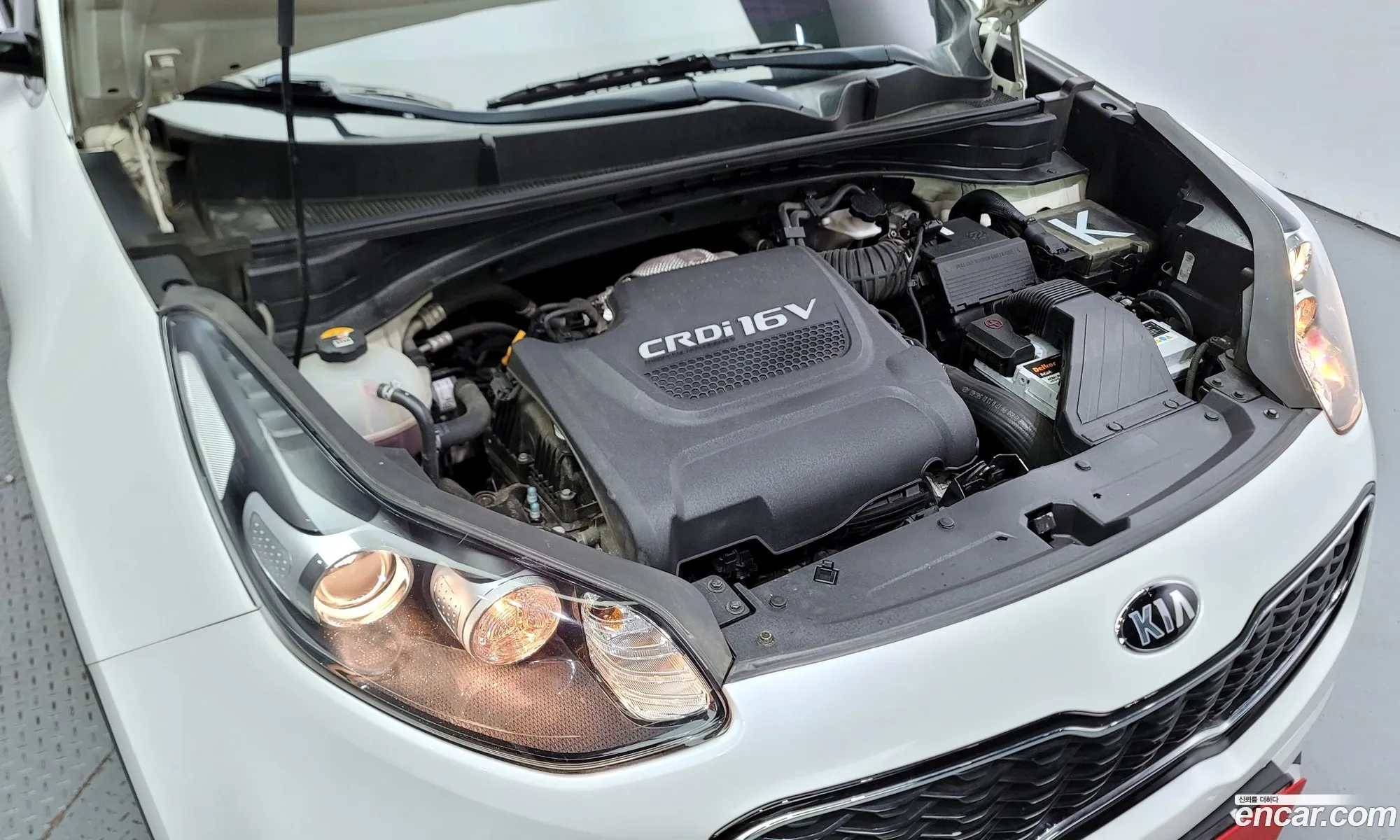 Korex Auto Trade - фотография 12532563