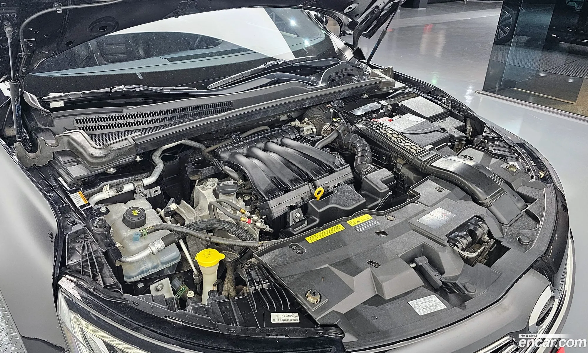 Renault Samsung Sm6 20 Lpe Le For The Disabled 2016 - фотография 73988