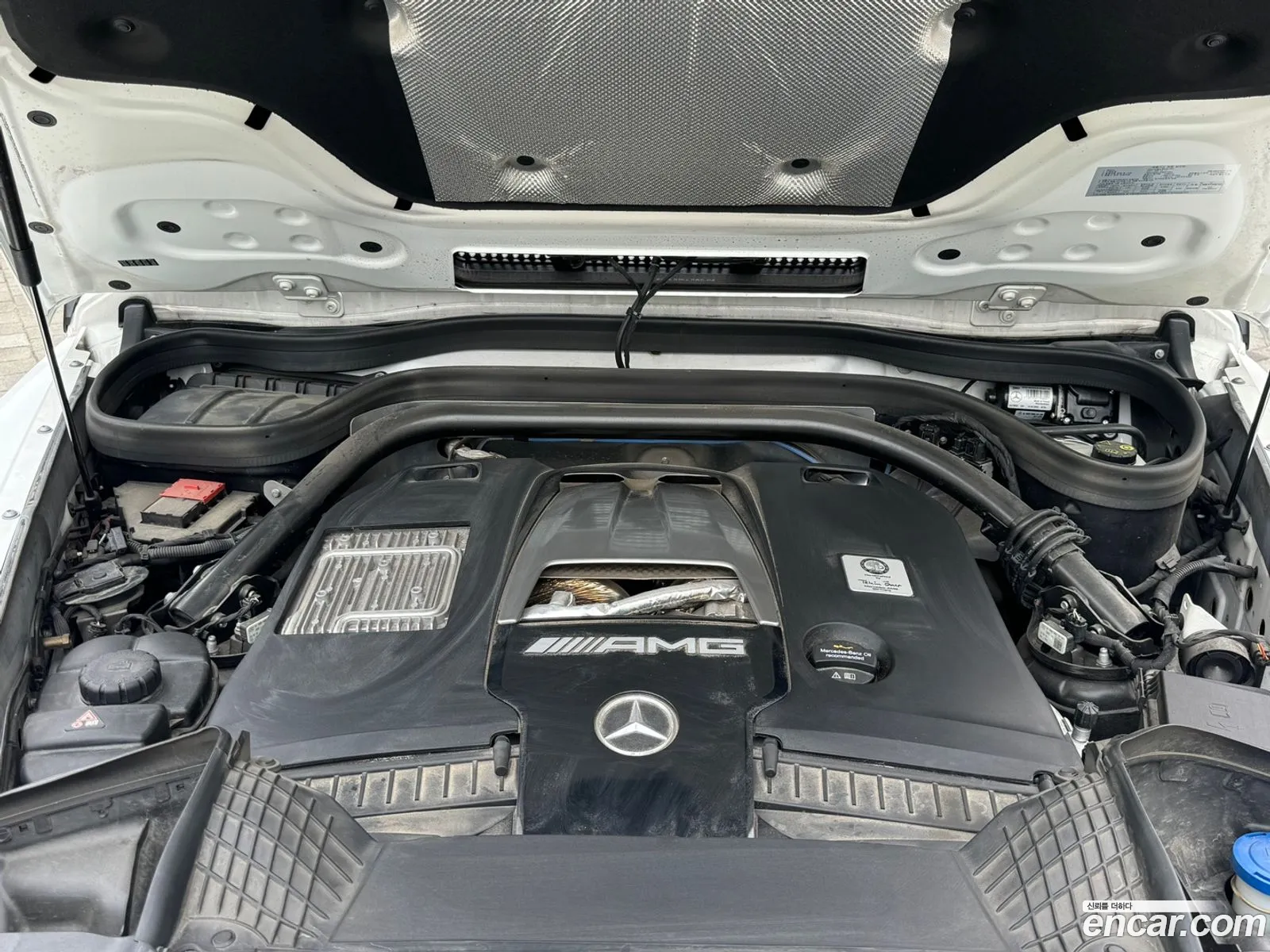 Mercedes-Benz G-Klasse Iii W463 Amg G63 Edition 2021 - фотография 12824860