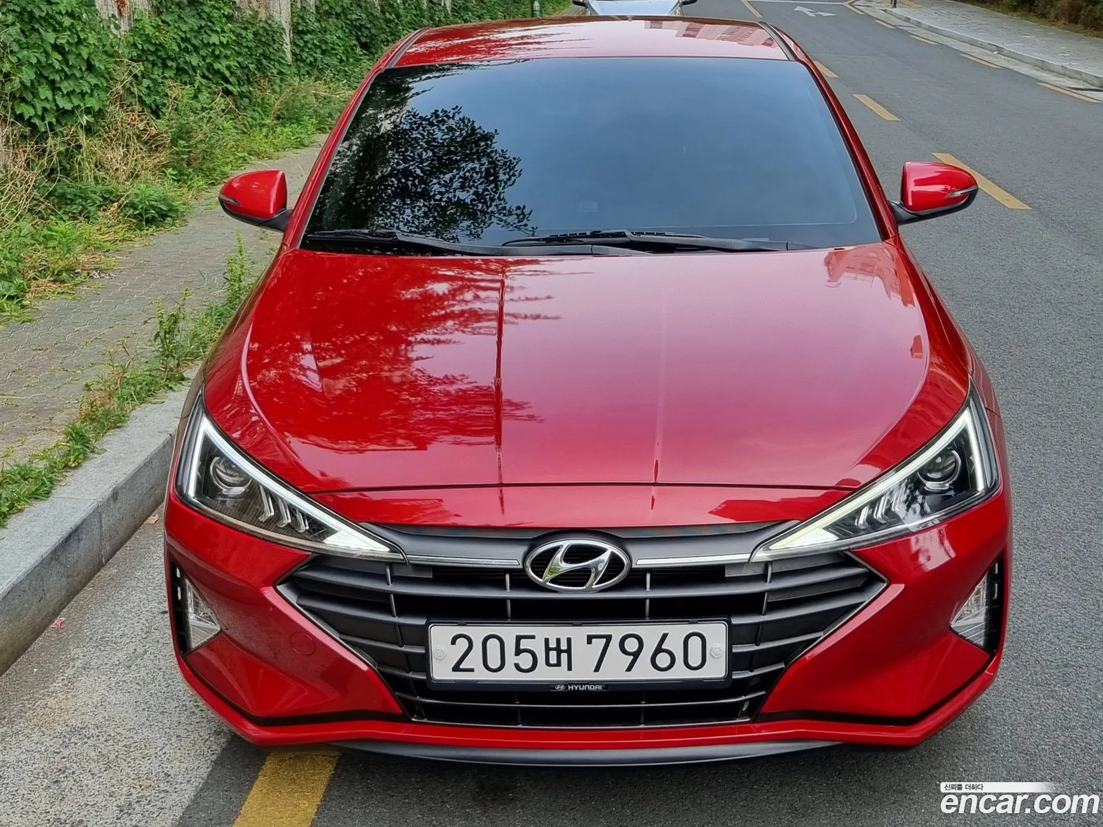 Hyundai Avante Vi 16 2019 - фотография 17287227