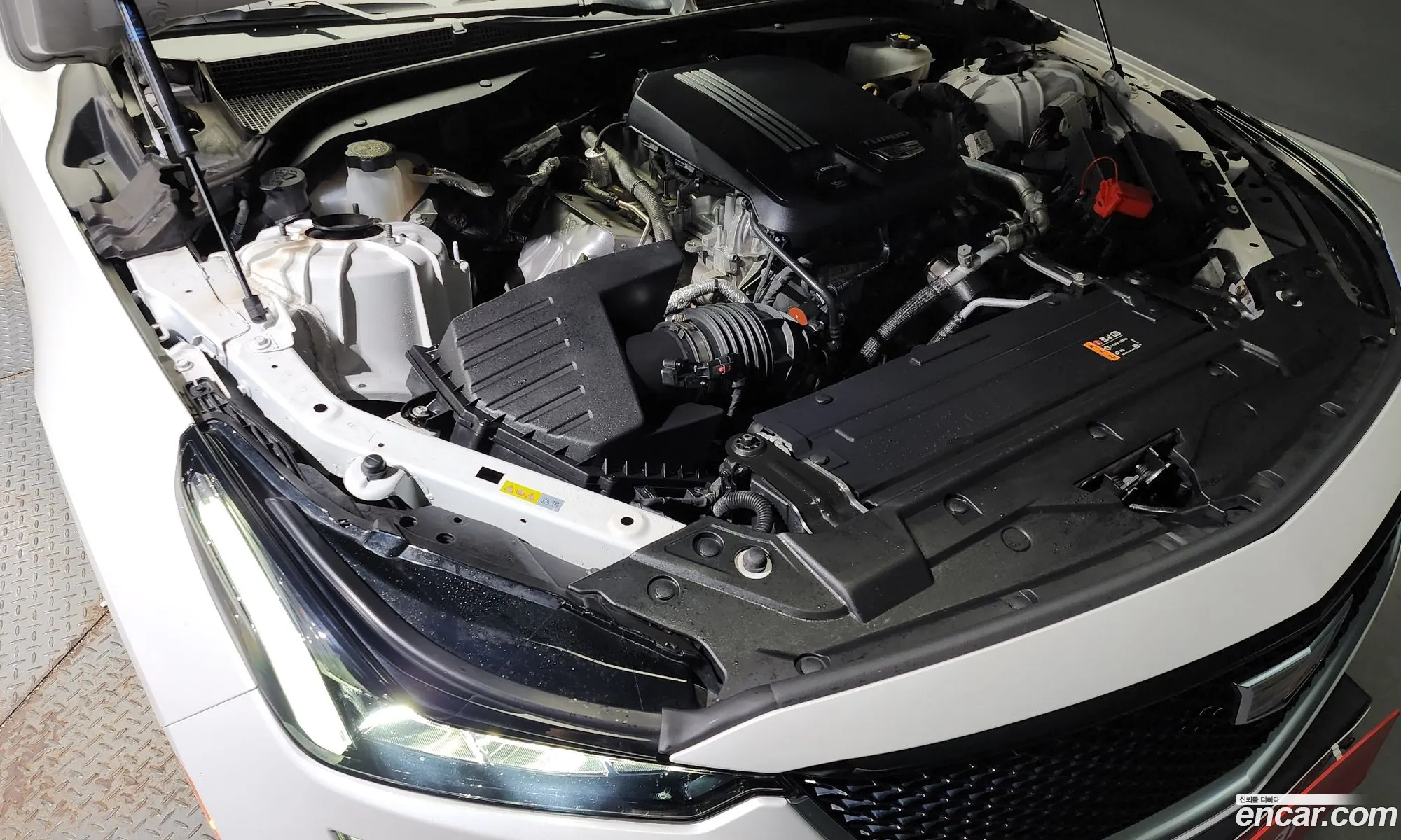 Cadillac Ct5 I 20 Sports 2021 - фотография 3742592