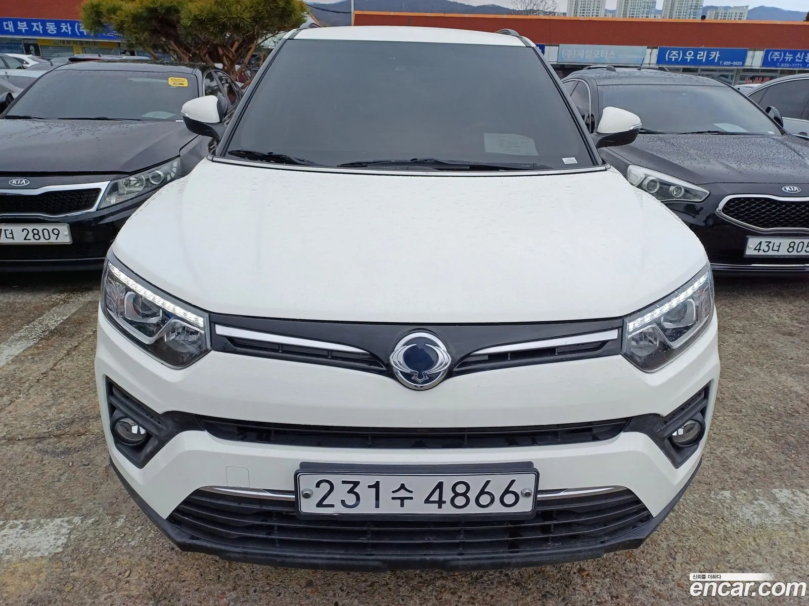 Ssangyong Tivoli Tivoli Gasoline 15 2Wd 2020 - фотография 19626007