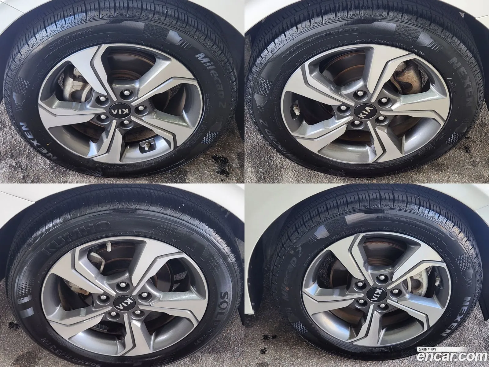 Korex Auto Trade - фотография 17260897